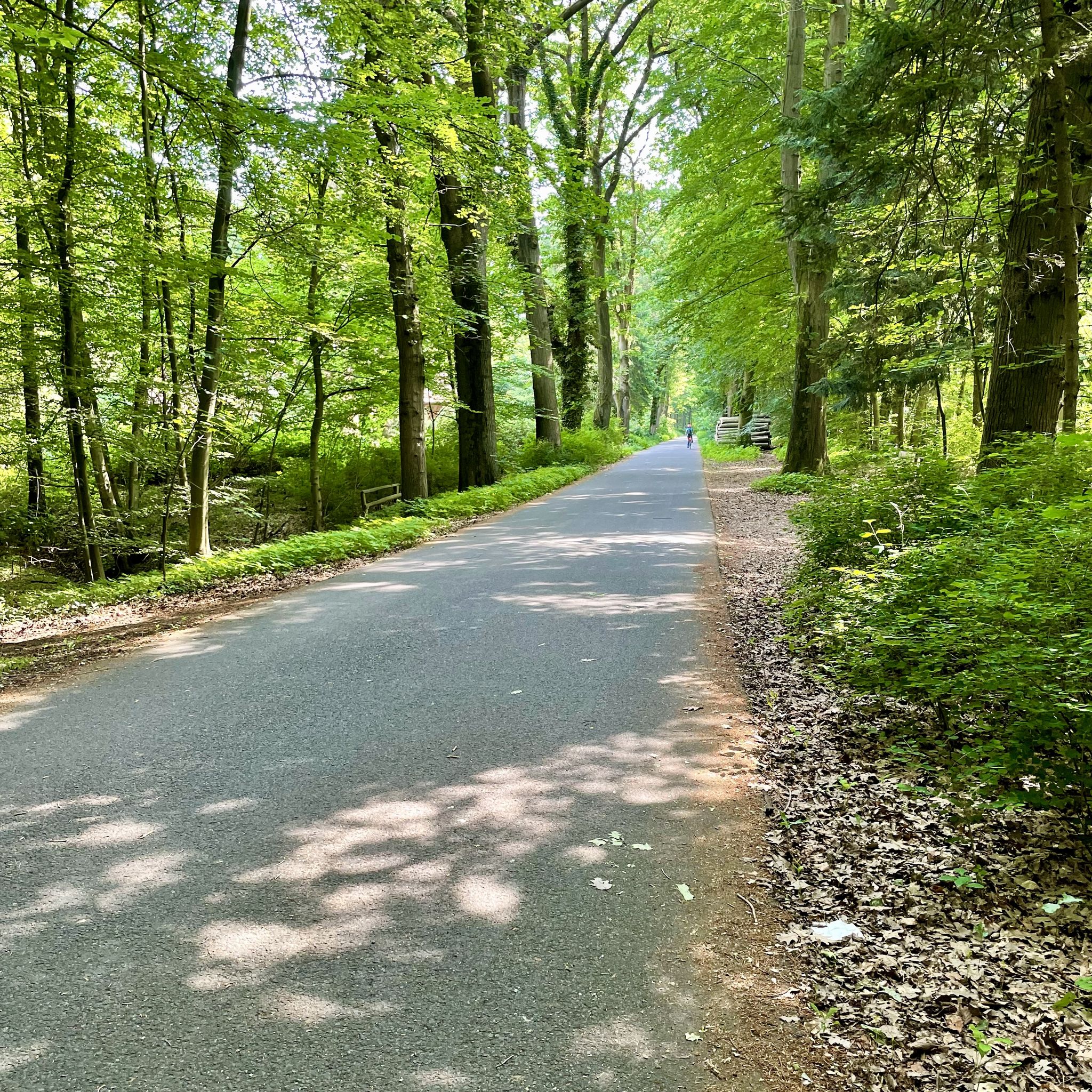 Boniburger Wald