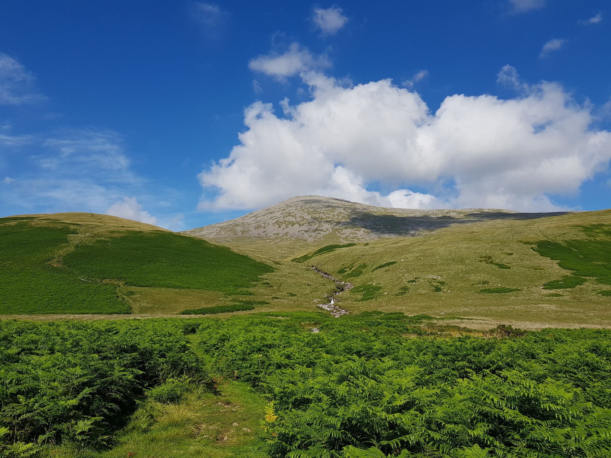 Scafell from Burnmoor Tarn