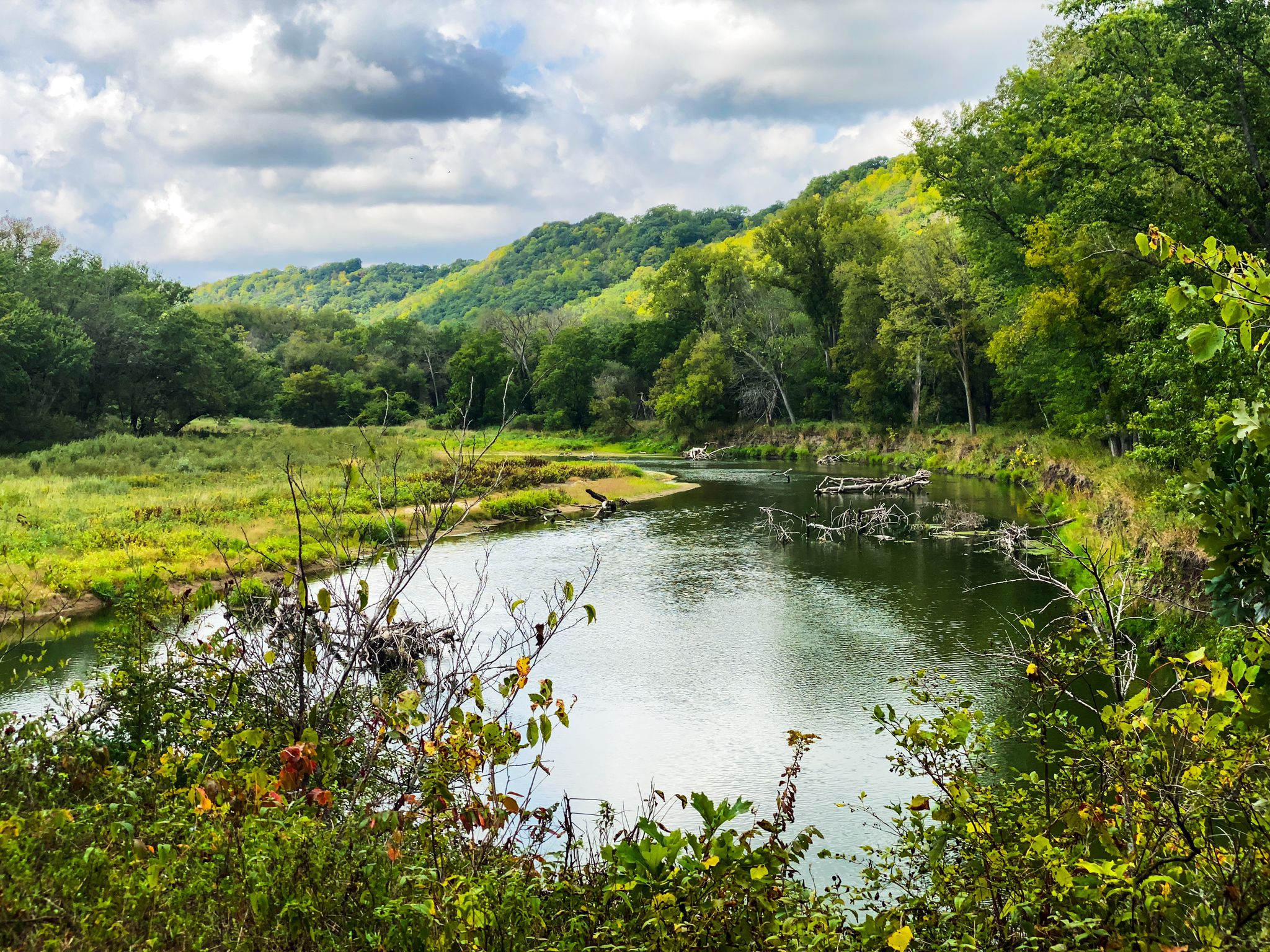 Winding river through lush green banks and distant forested hills under cloudy sky. - Belle Creek Rest Area – Flowers along the trail loop from Welch