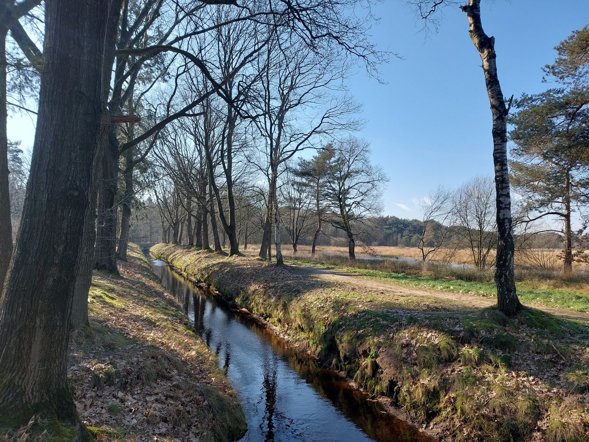 Sonse Heide