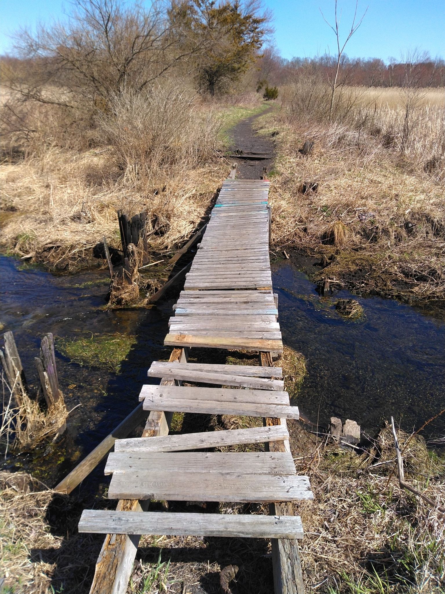 A dilapidated wooden bridge crosses a shallow stream in a sunny field. - Sussex Branch Trail