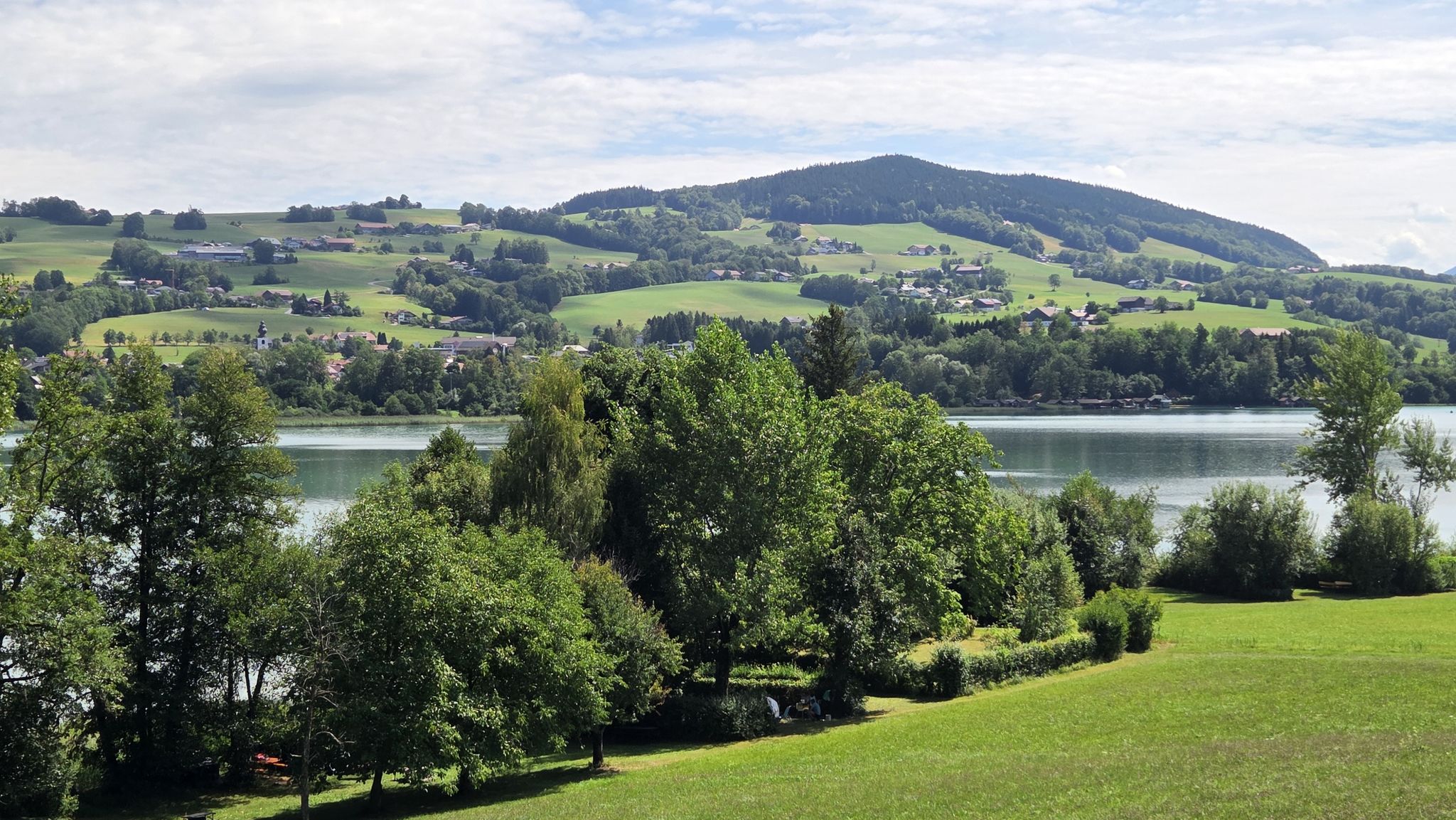 Blick auf das Ostufer des Irrsees