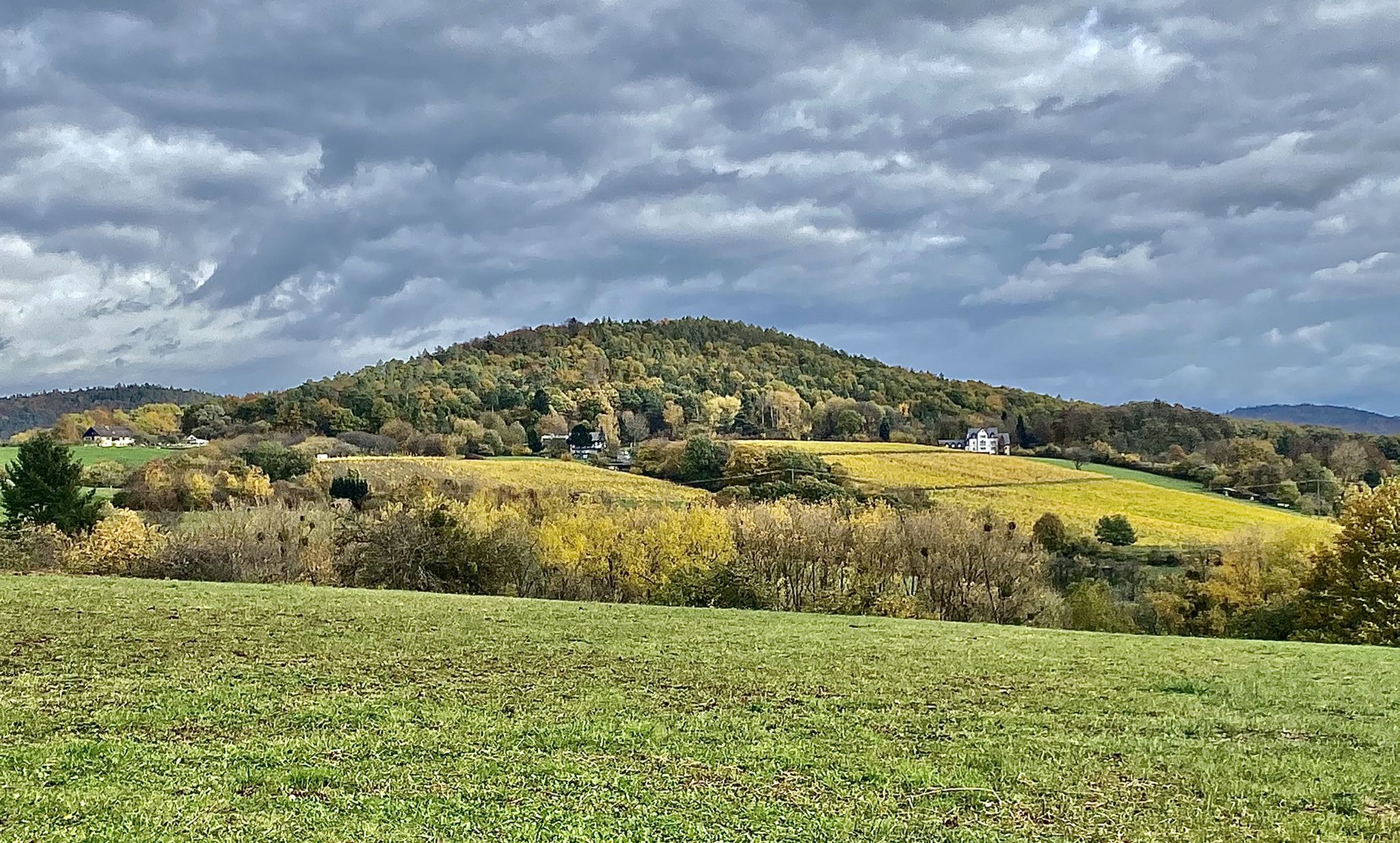 Schöner Blick auf Rottenbergs Weinberge (Holler)