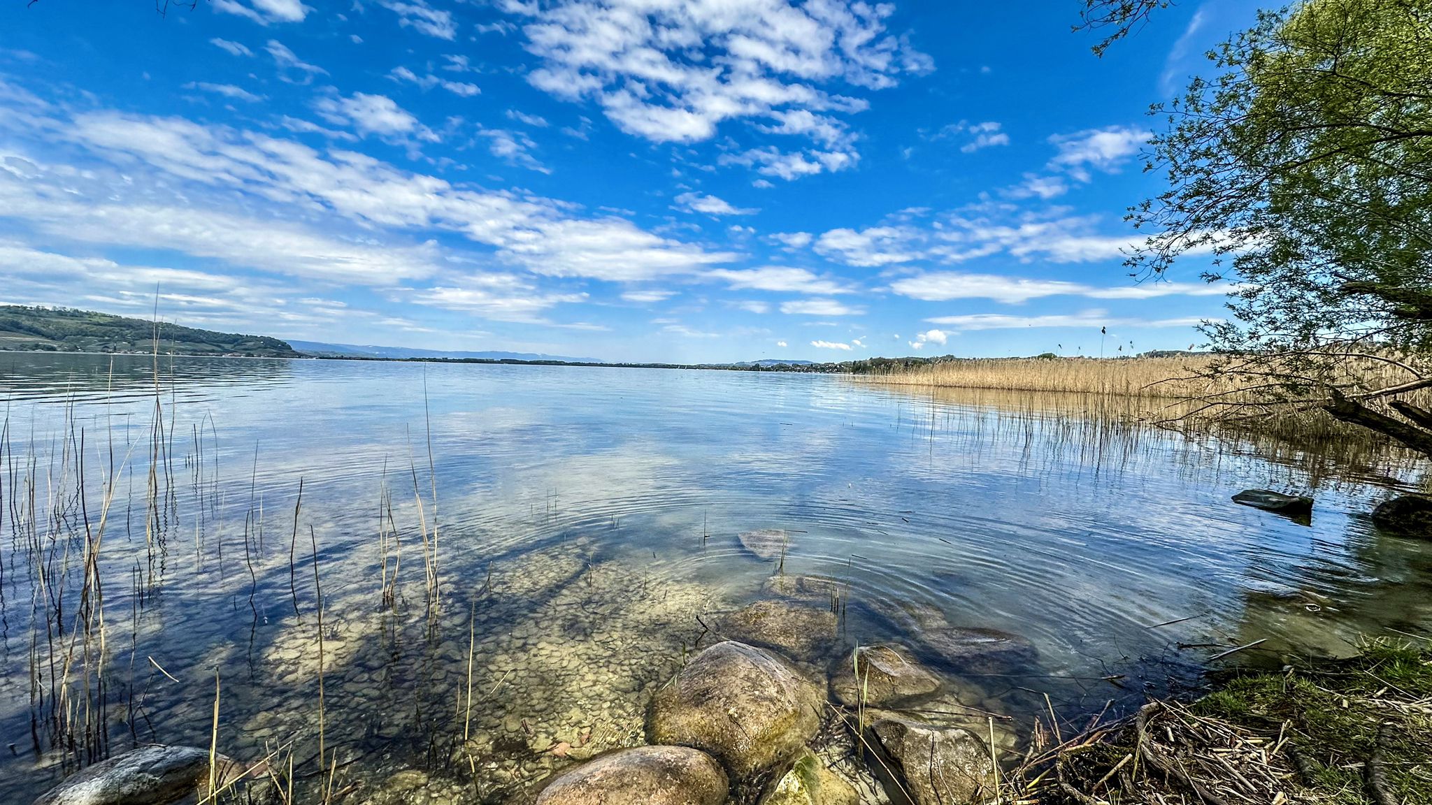 ...der Murtensee - einfach nur 🫠...