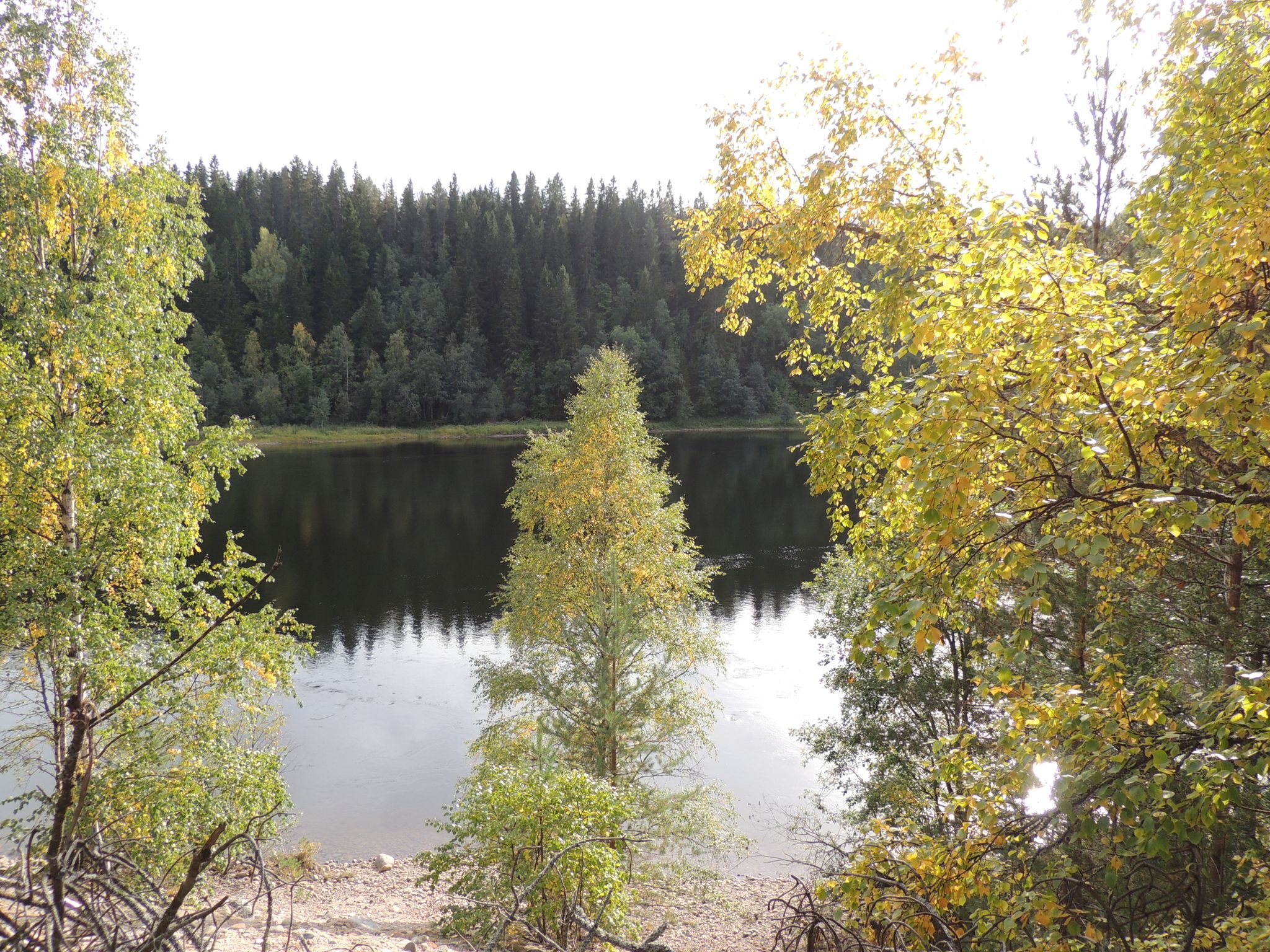 Umeälven (Umefluss)