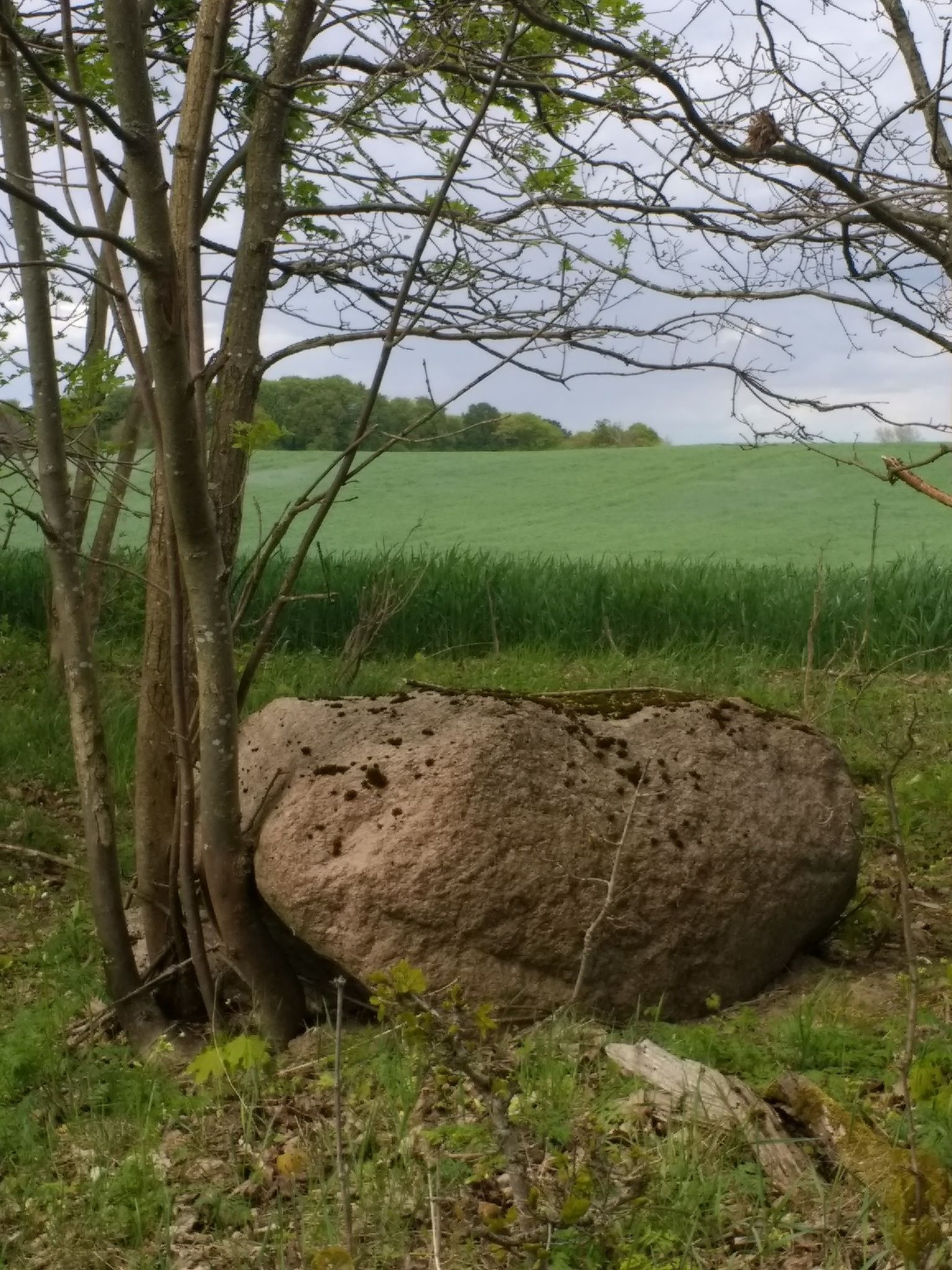 Aussichtspunkt