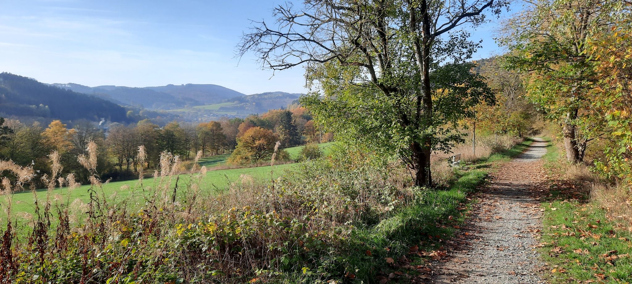 Blick nach Fleckenberg