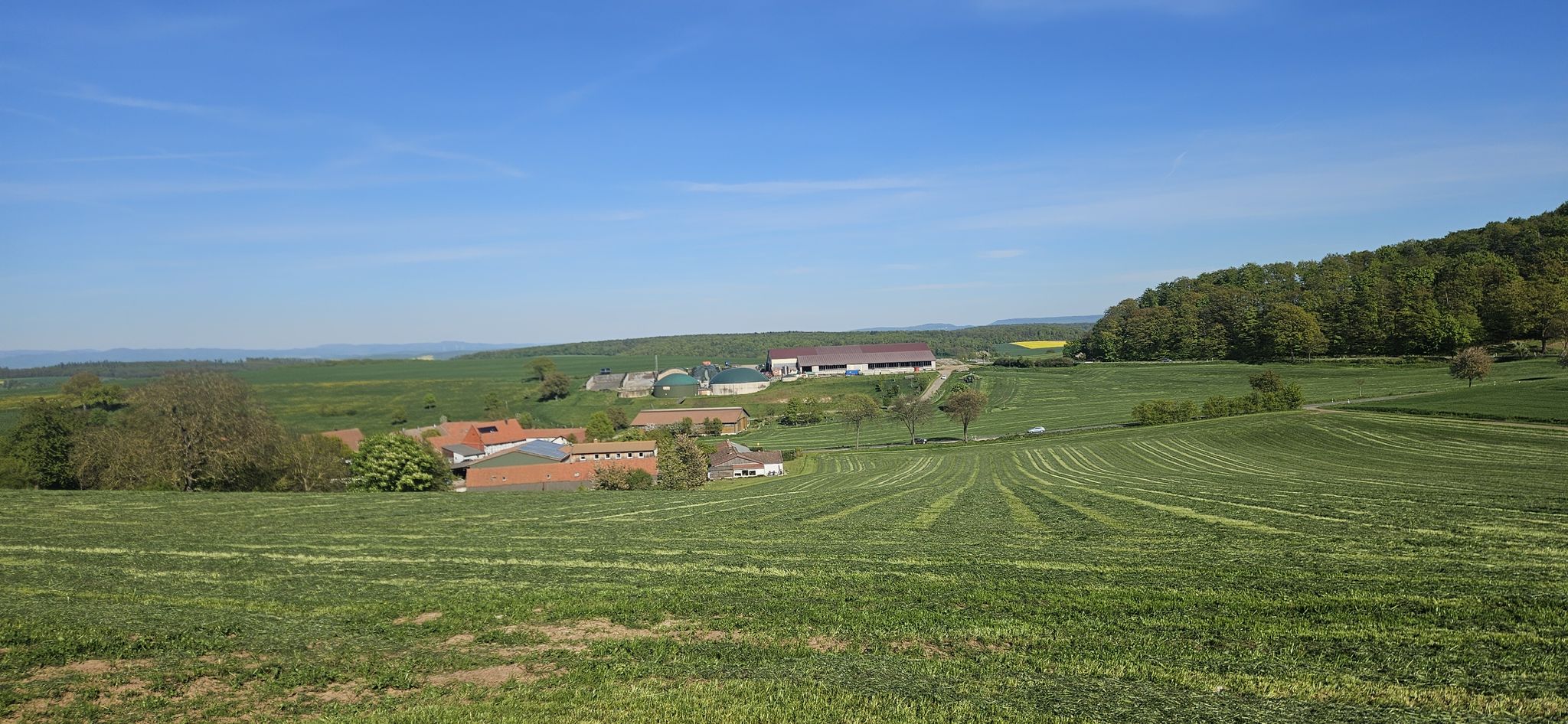 Potzwenden