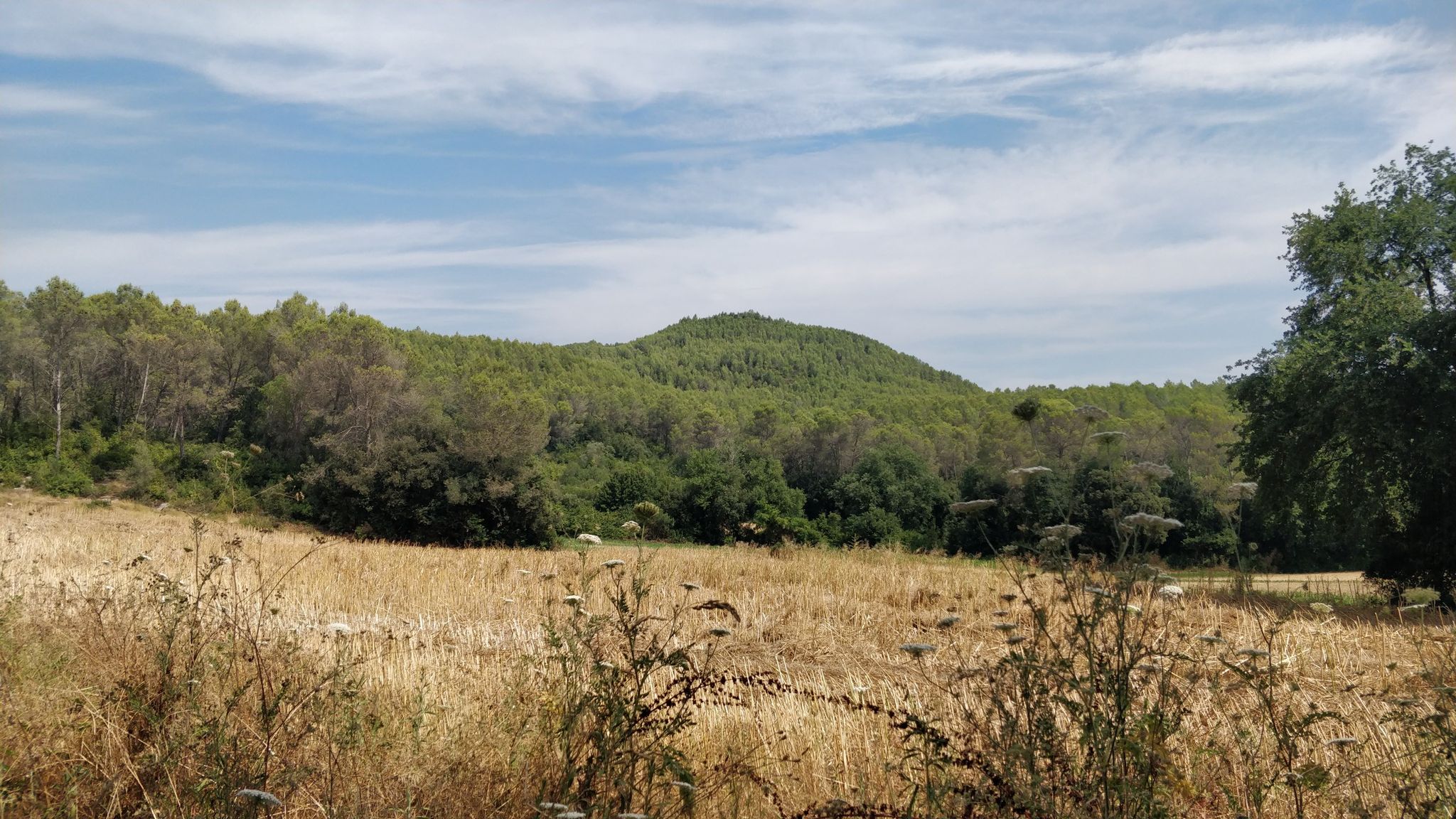 Puig Clarà
