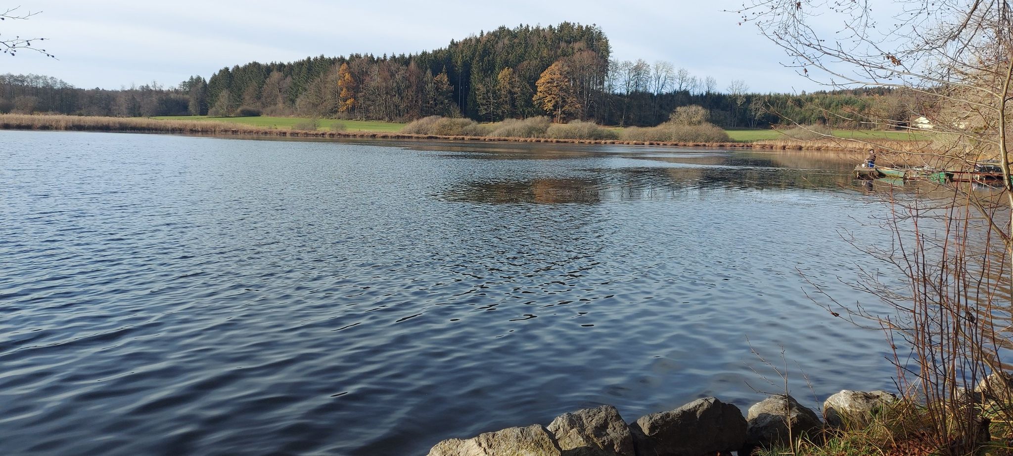 Häcklerweiher