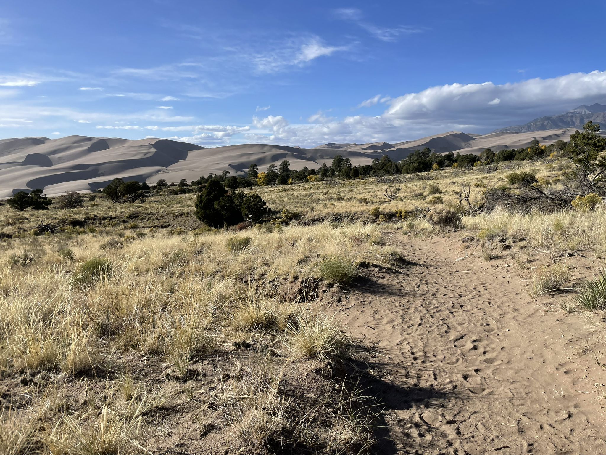 Dirt path through dry grass leading towards large sand dunes under a blue sky. - Dunes Overlook Trail