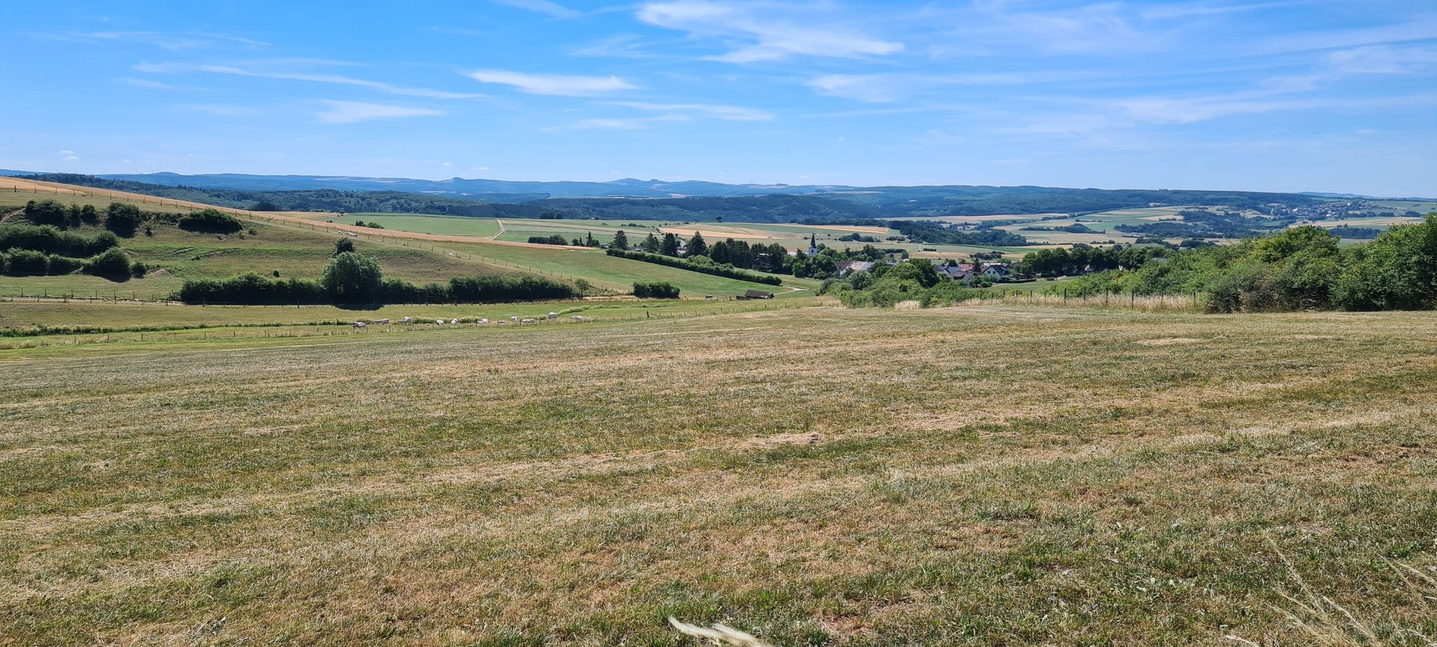 Feld 8