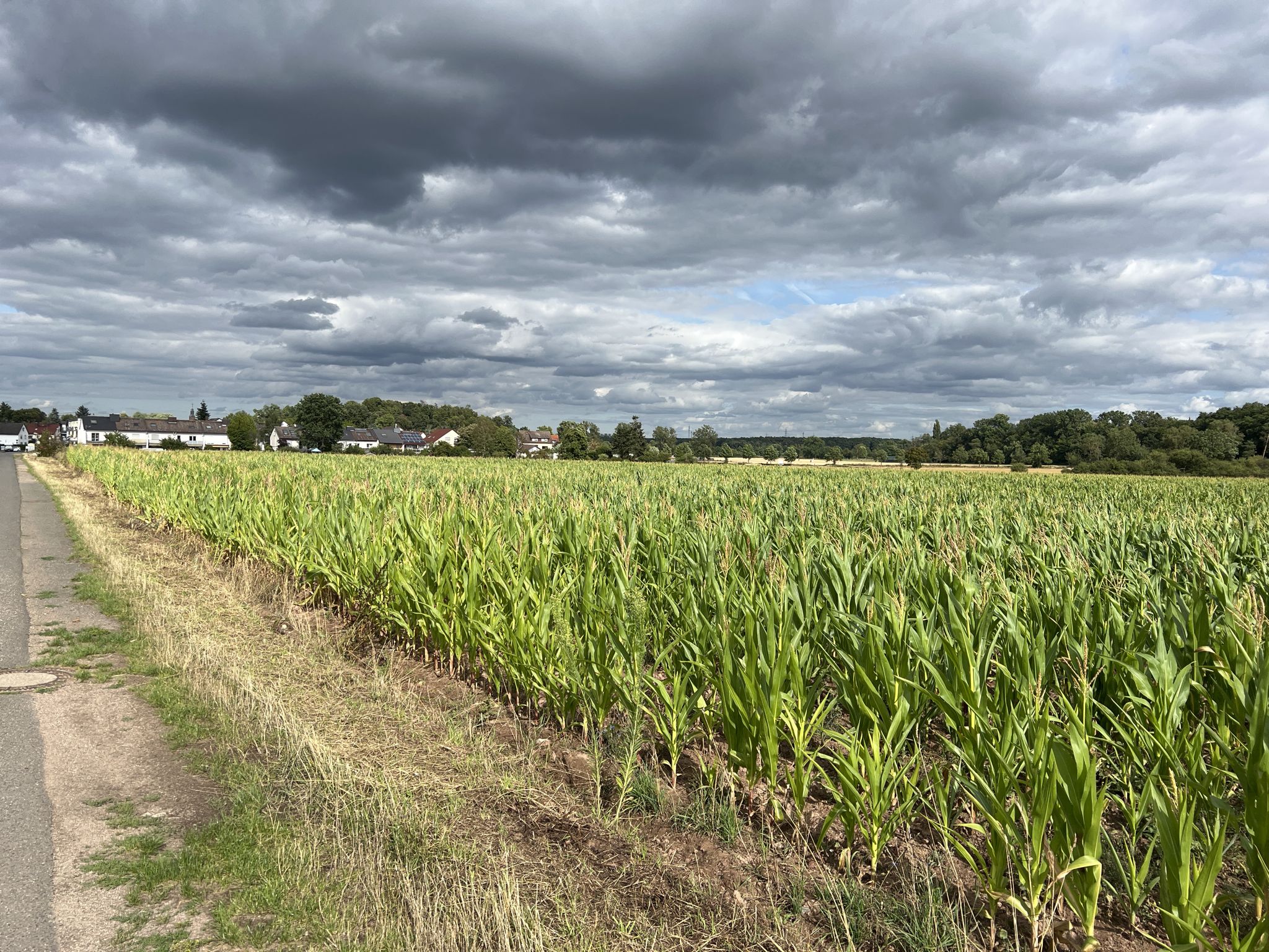 Blick auf Dreieich-Götzenhain