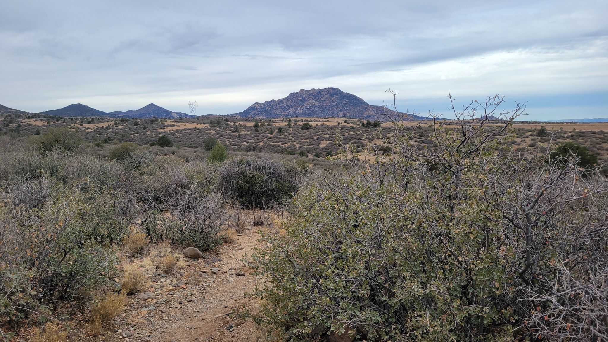Desert landscape with scrub brush, distant mountains, and cloudy sky. - Longview and Legacy Trail Loop