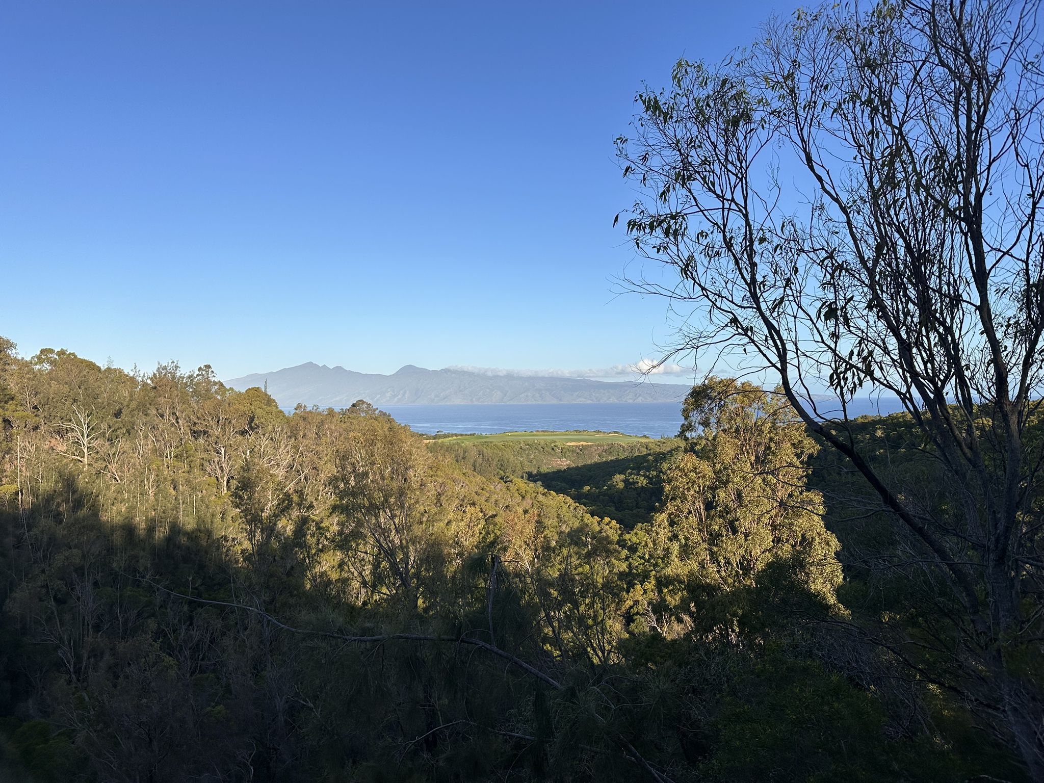 Expansive view of forested hills, a bay, and distant mountains under clear sky. - Honolua Bay via The Ritz