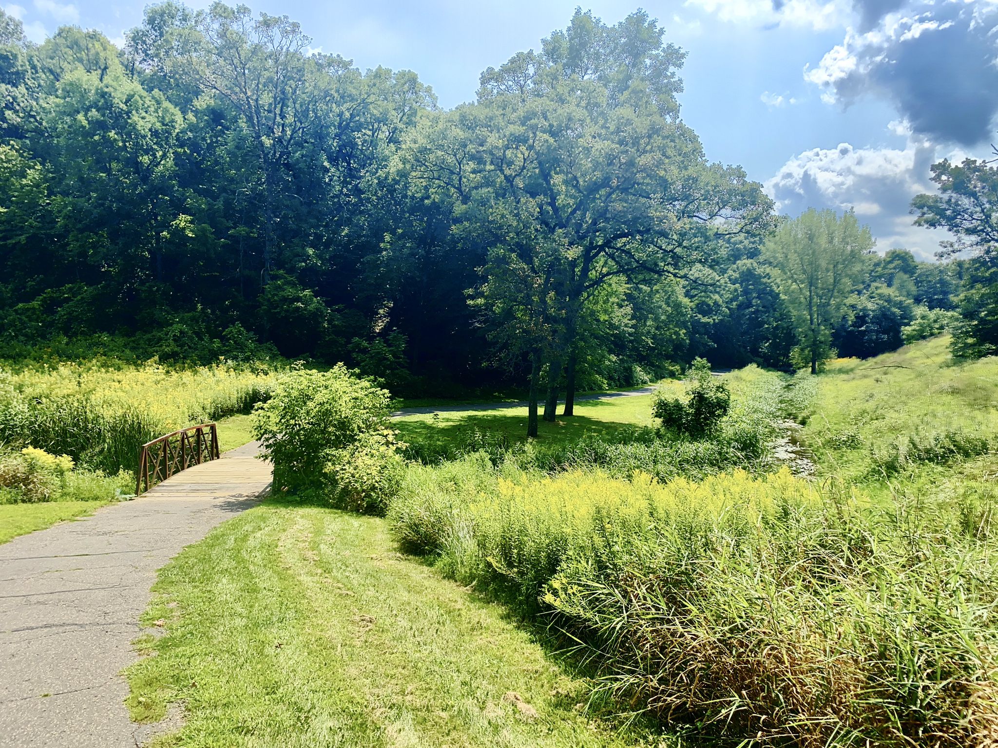 A paved path curves towards a small bridge in a sunny, green park. - Point Douglas Trail