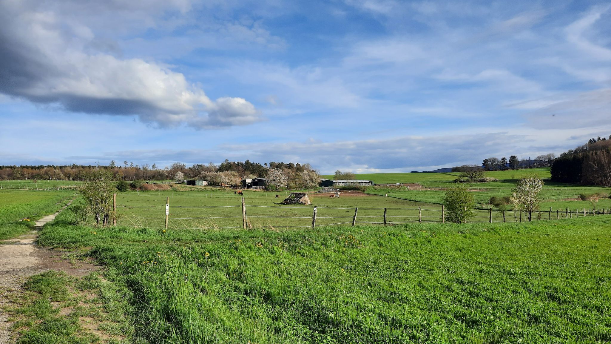 Reiterhof Hirschberg