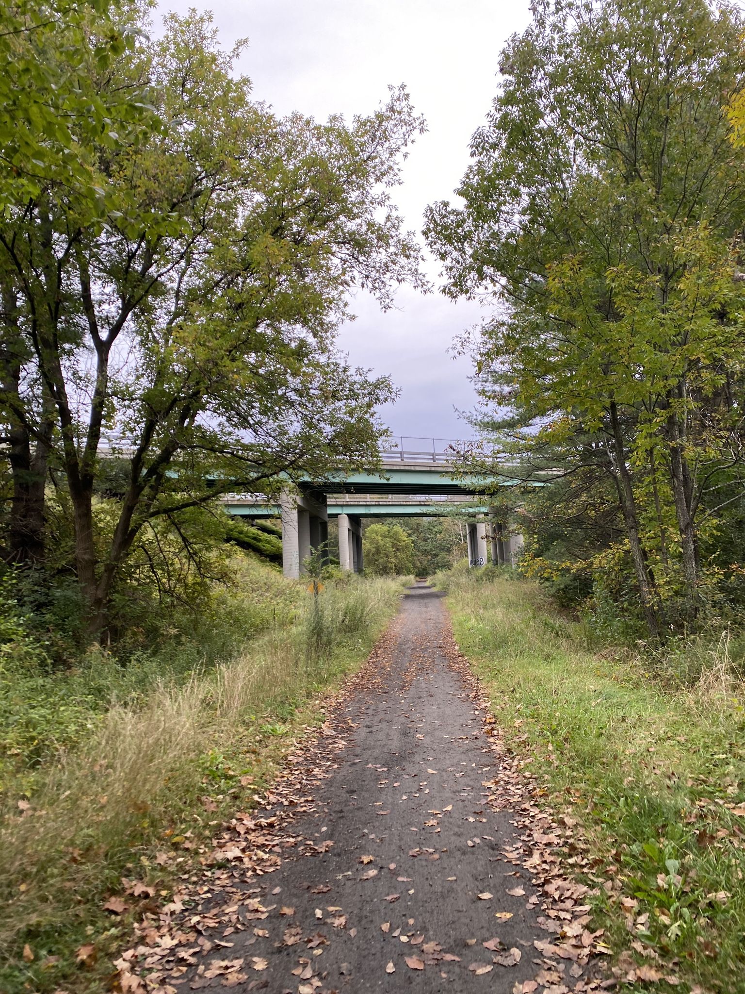 Gravel path with fallen leaves leading under a large concrete bridge. - Packard Hill Covered Bridge – Mill Parcel loop from Lebanon
