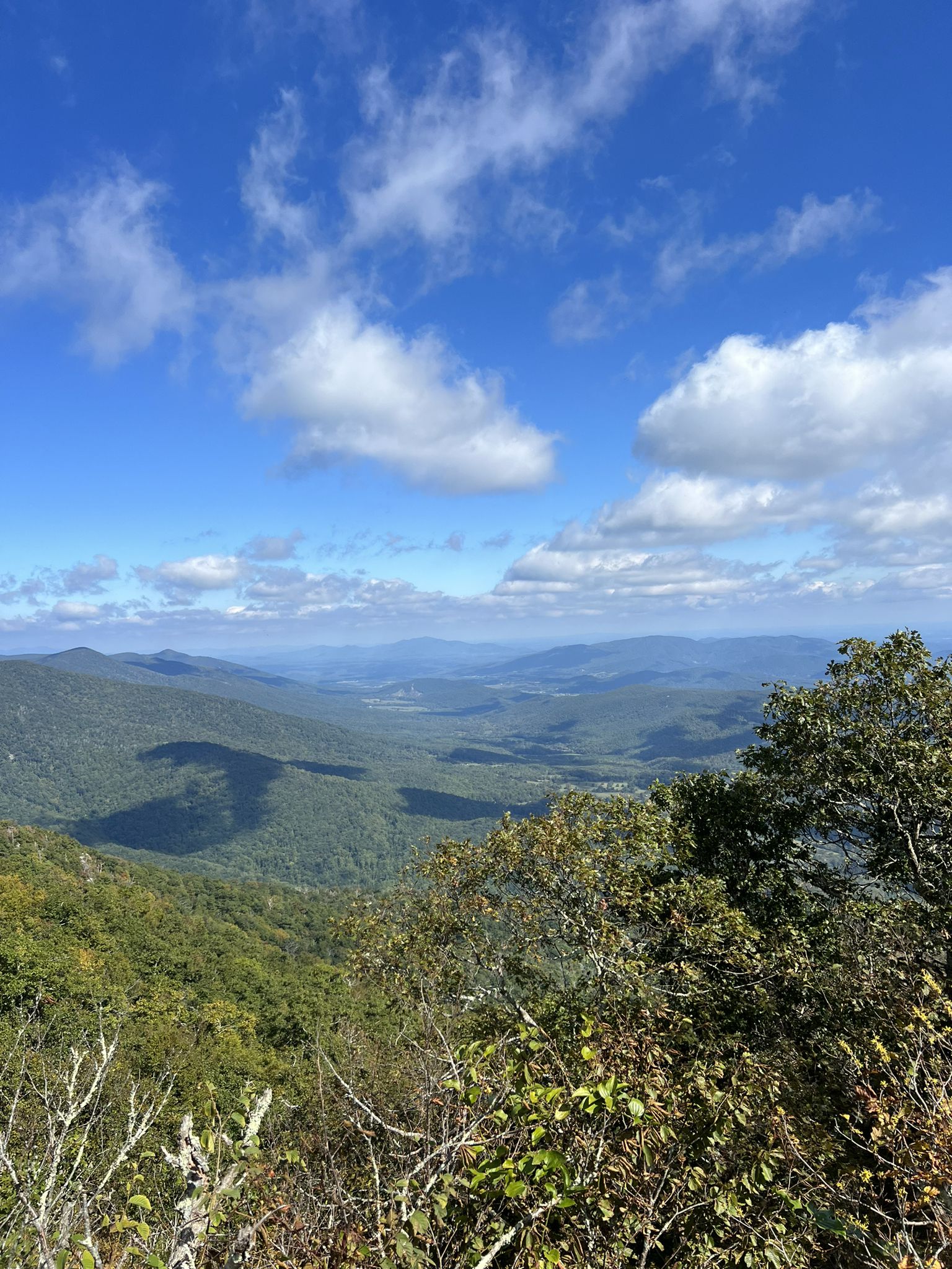 Vast green mountain landscape under a bright blue sky with white clouds. - Flat Top Trail