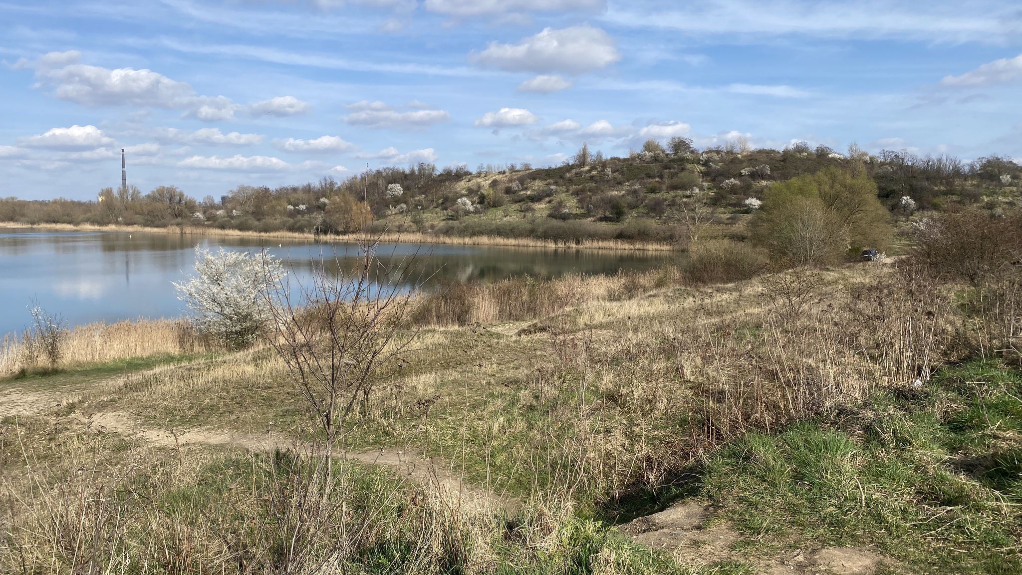 Blick zur ca. 30 Meter hohen Halde über die ehemalige Kiesgrube.