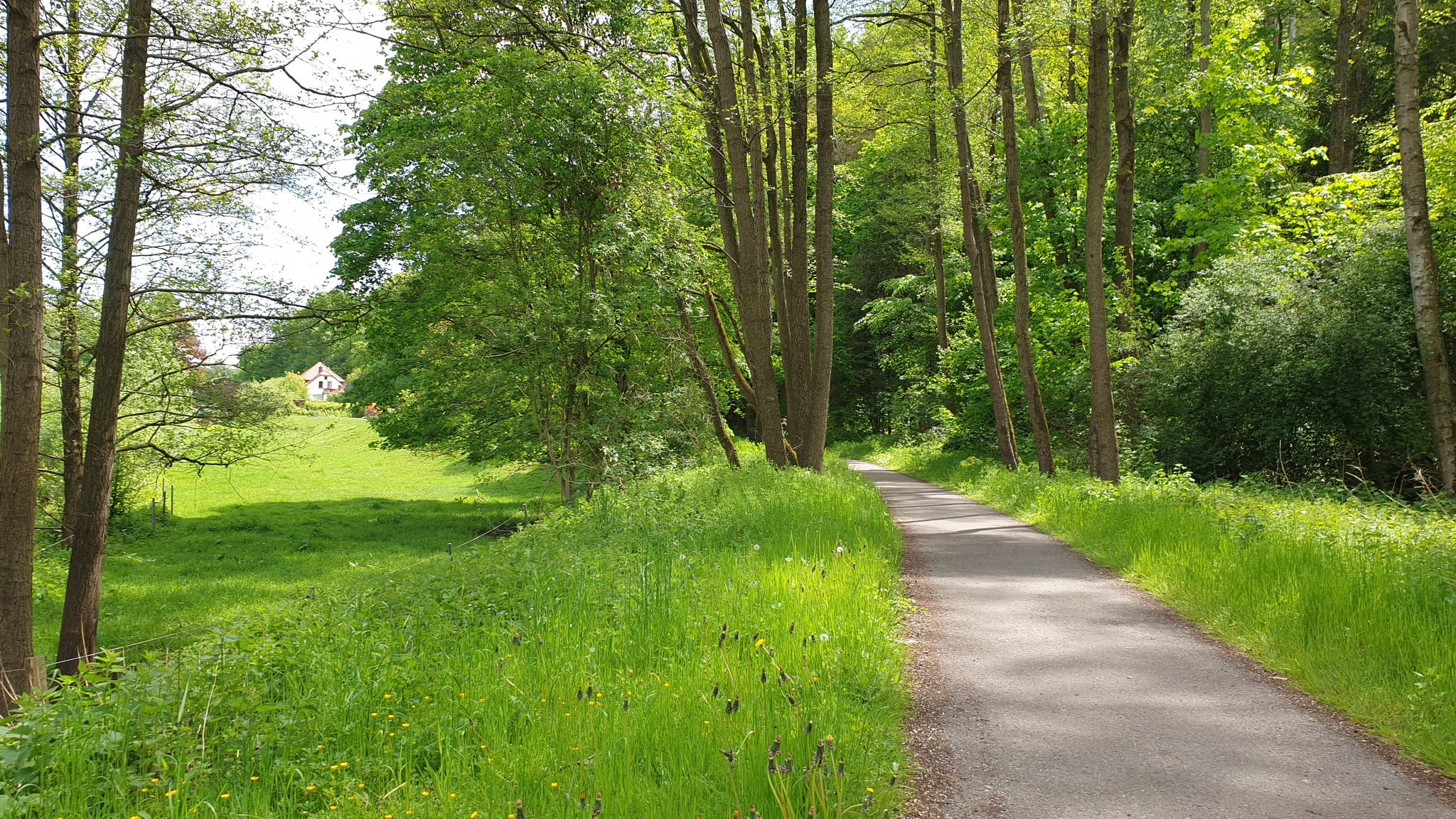 Fahrradweg durchs Rodetal