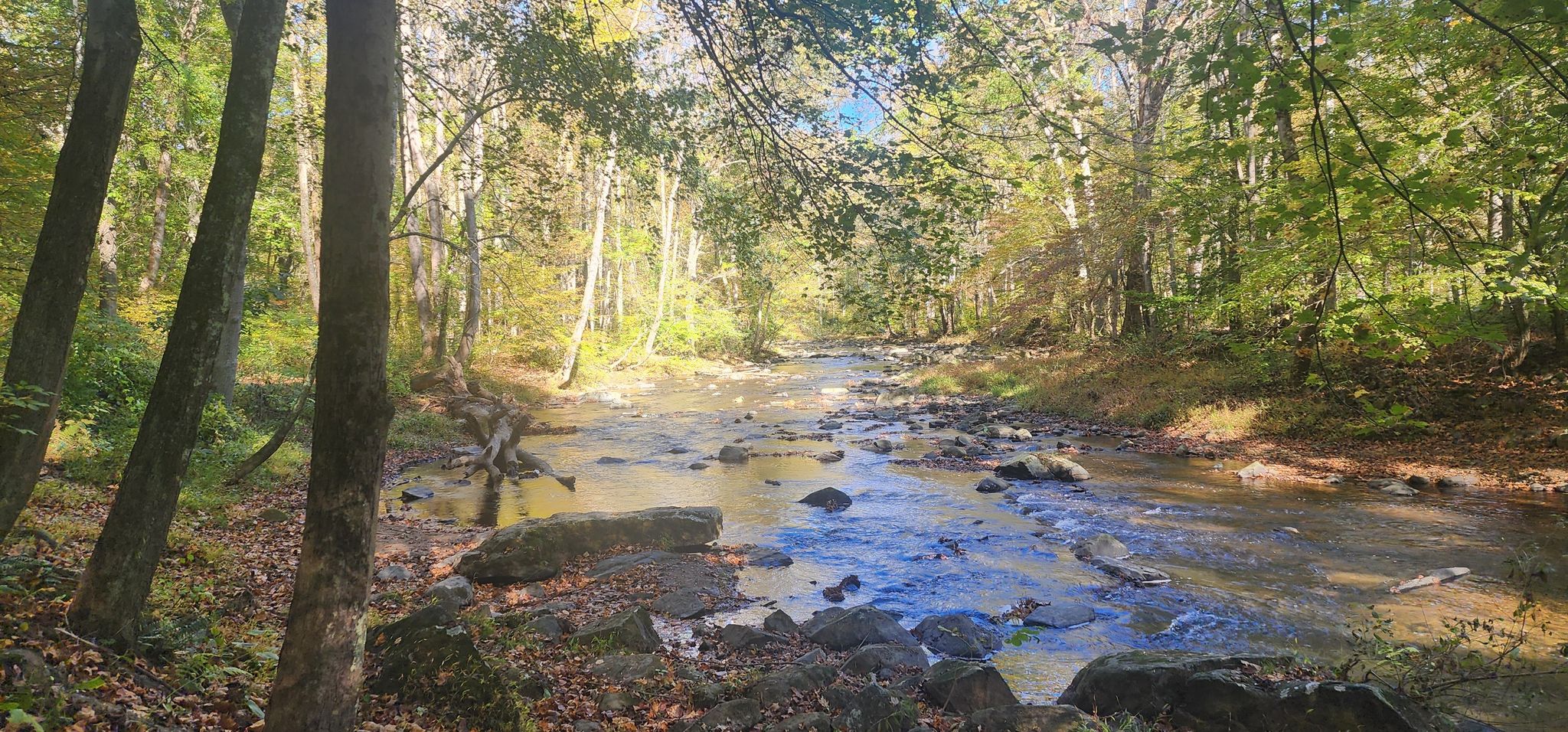 A rocky stream flows through a sunlit forest with autumn foliage. - Little Gunpowder Trail