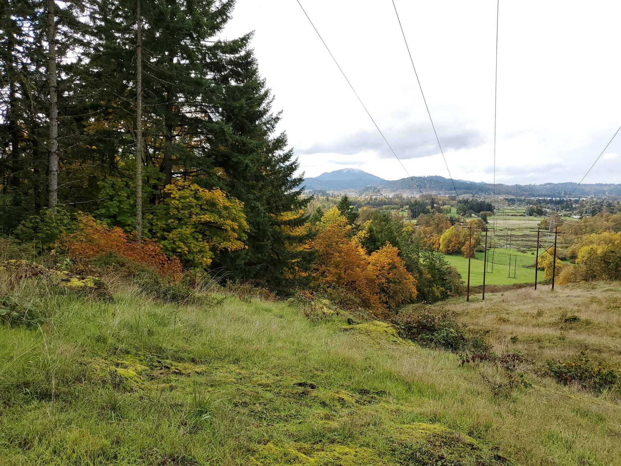 Grassy hillside with autumn trees overlooking a valley under an overcast sky. - Mount Pisgah Summit Loop