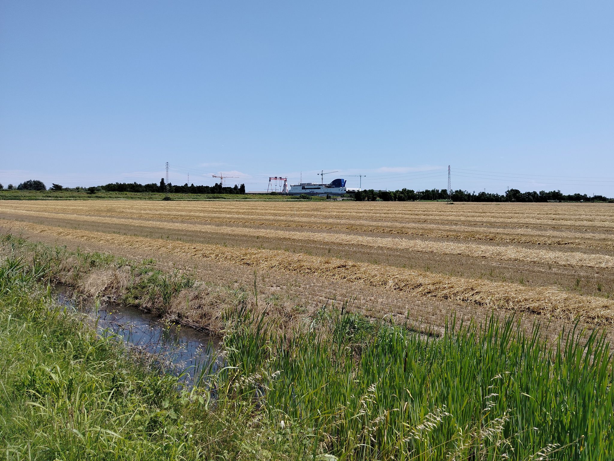 Path and field before Po di Levante
