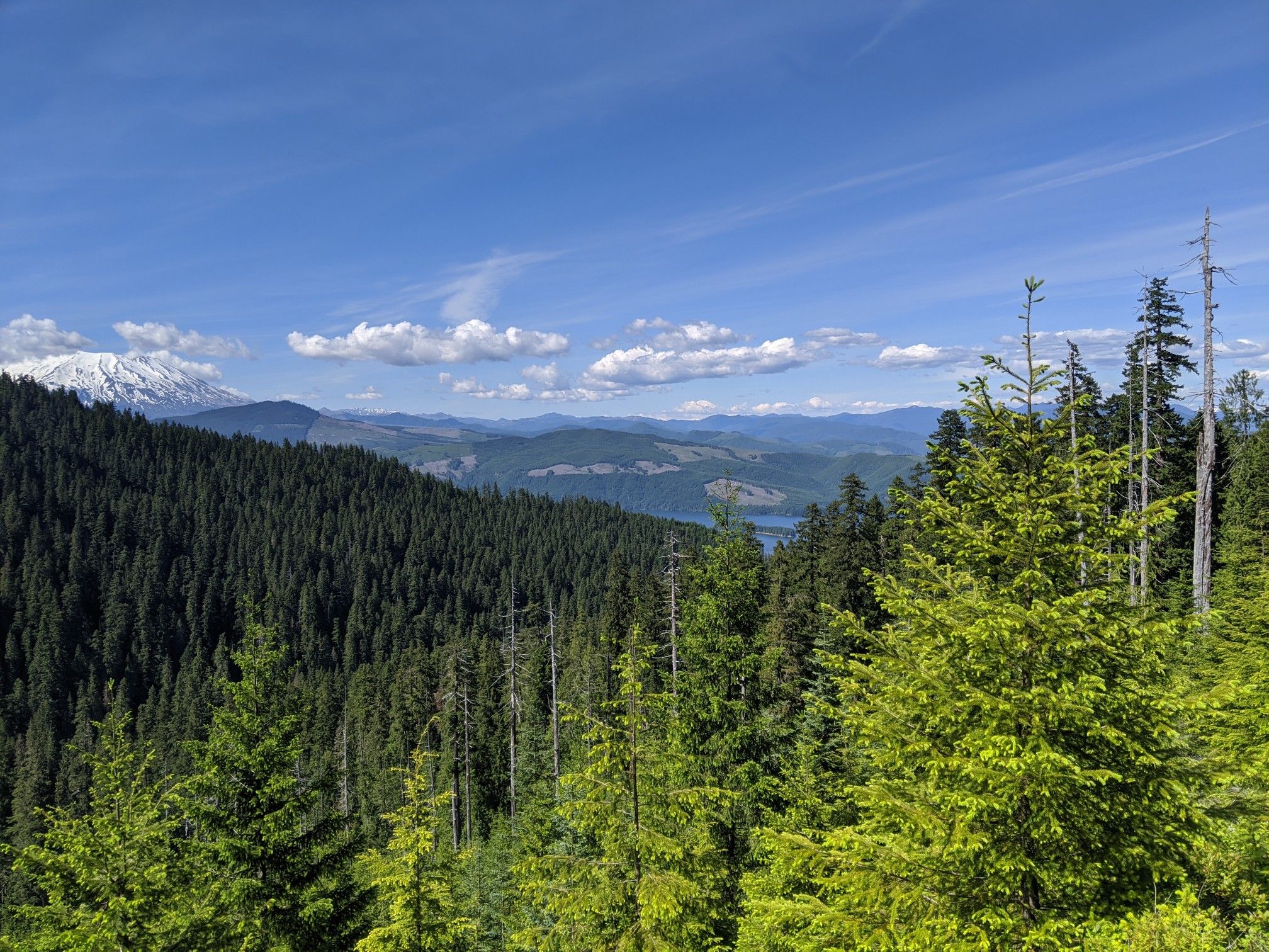 Sunny view of dense green forests, distant snowy peak, and a lake. - Siouxon & Huffman Peak Loop – Gifford Pinchot National Forest