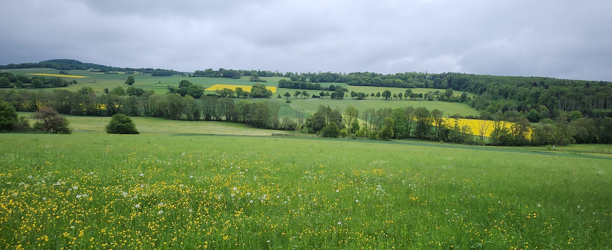 Schöner Panoramablick mit Blick auf den Hoherodskopf