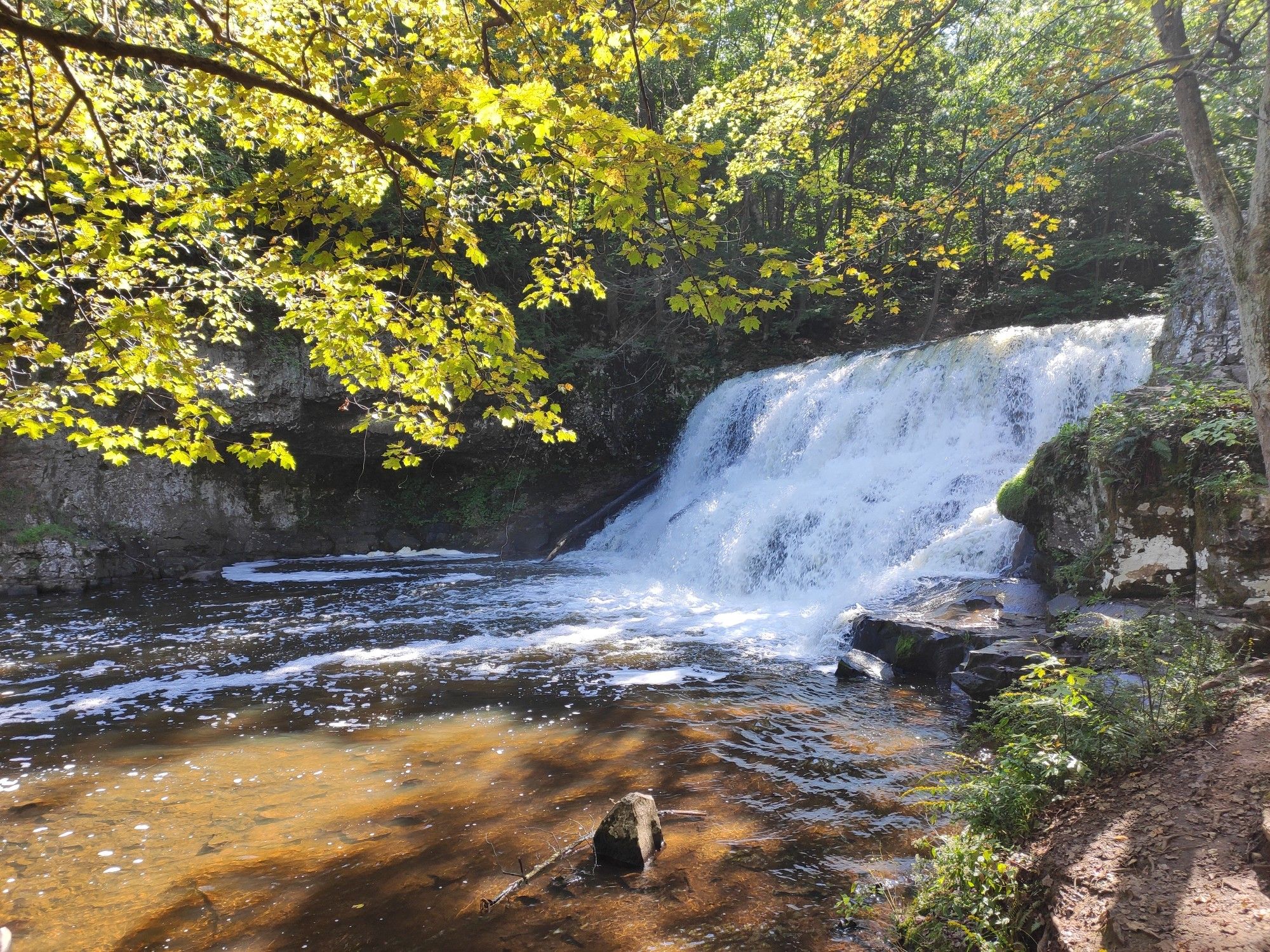 A sunlit waterfall cascades into a river surrounded by lush green trees. - Meyerhuber Pond – Wadsworth Falls loop from Middletown