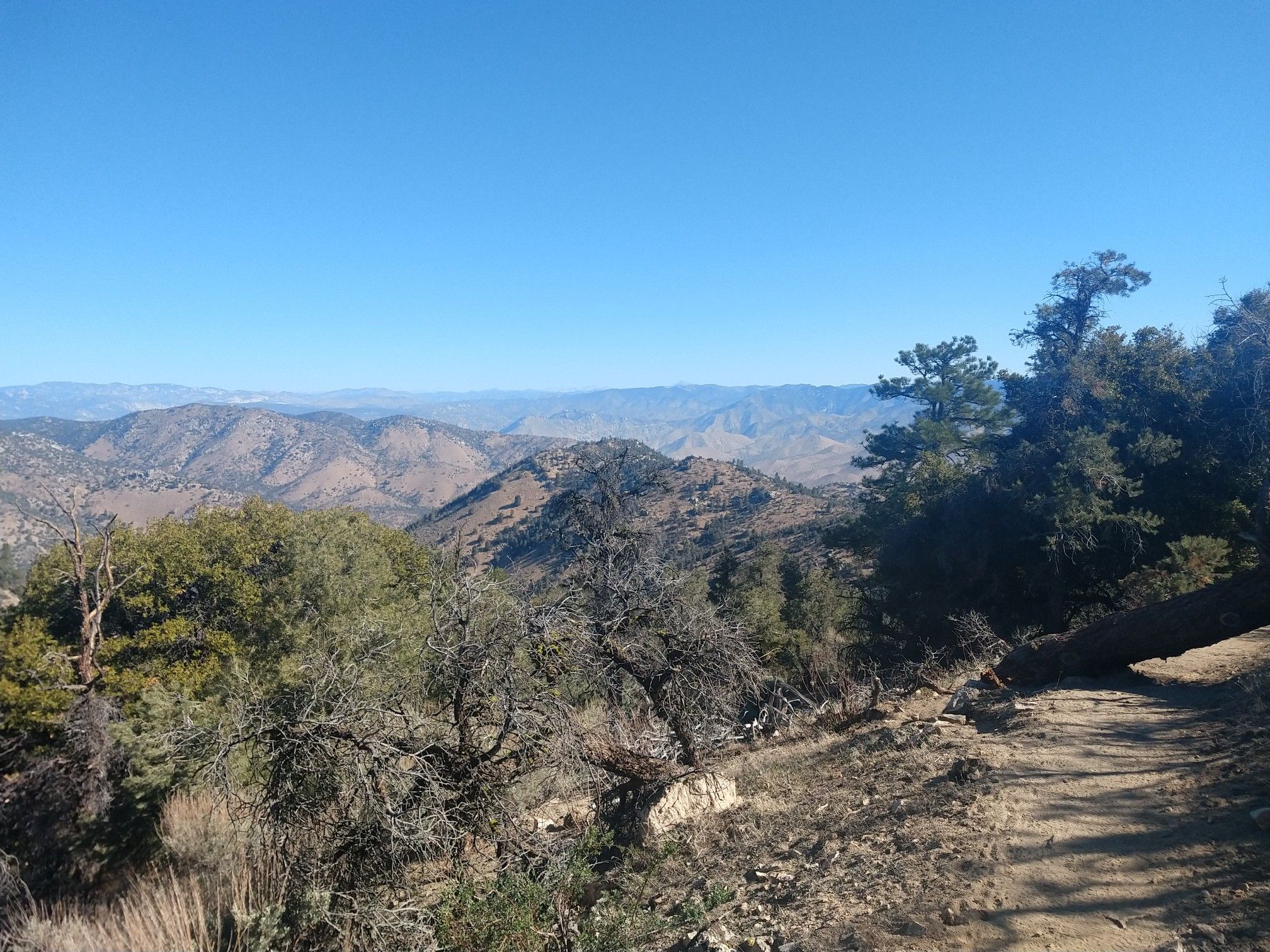 A dirt path on a sunny hillside with trees overlooking distant mountains under clear blue sky. - Pacific Crest Trail: Walker Pass to McIver's Spring