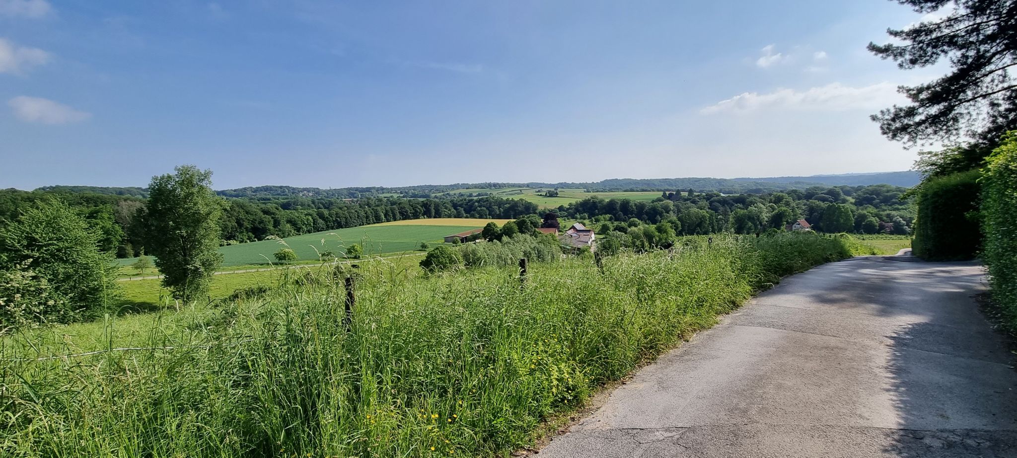 Ausblick inl. Ruhe