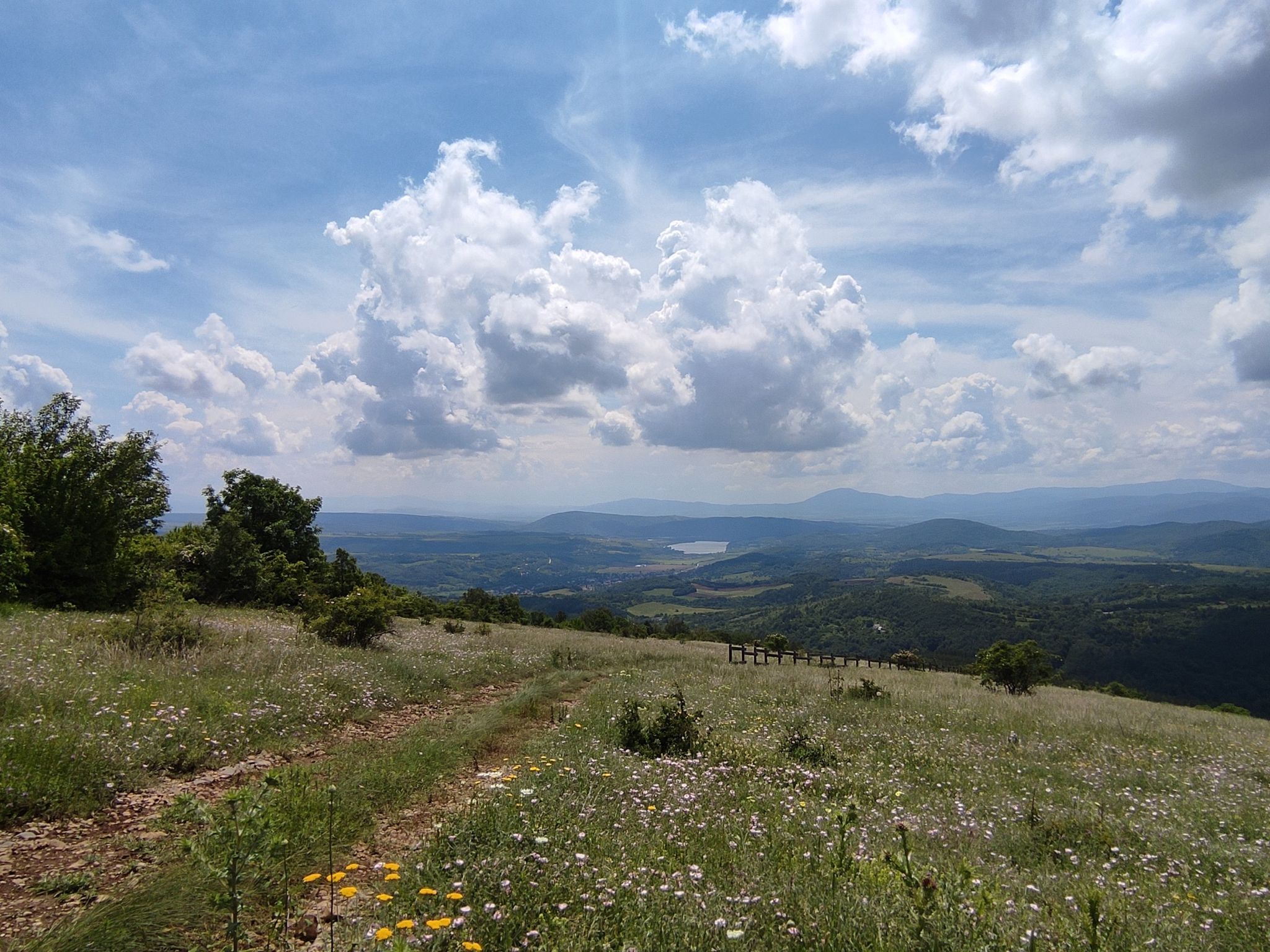 View 2