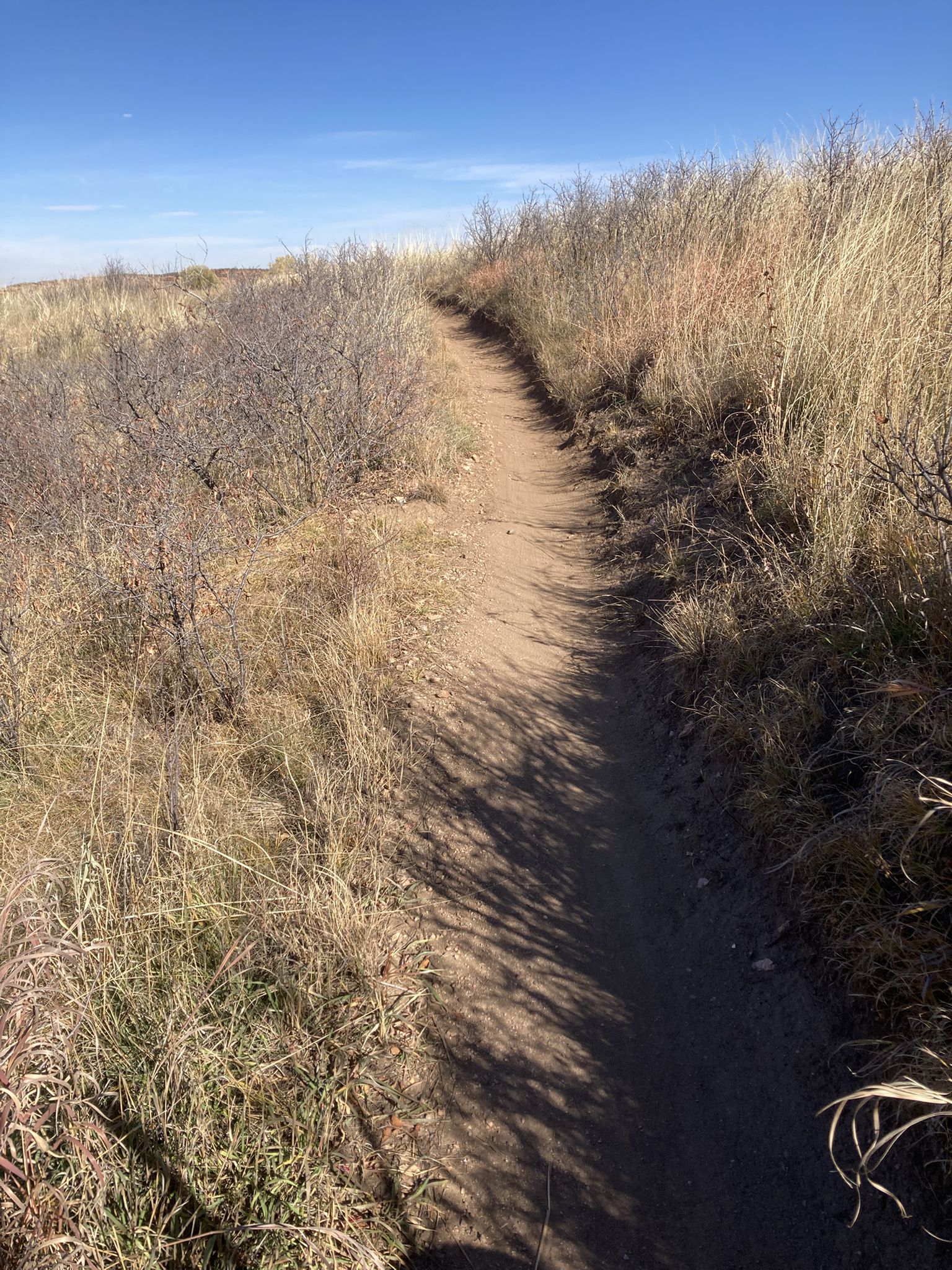 A winding dirt path through dry grassy hills under a clear blue sky. - Arthur's Rock Trailhead loop from Lory State Park