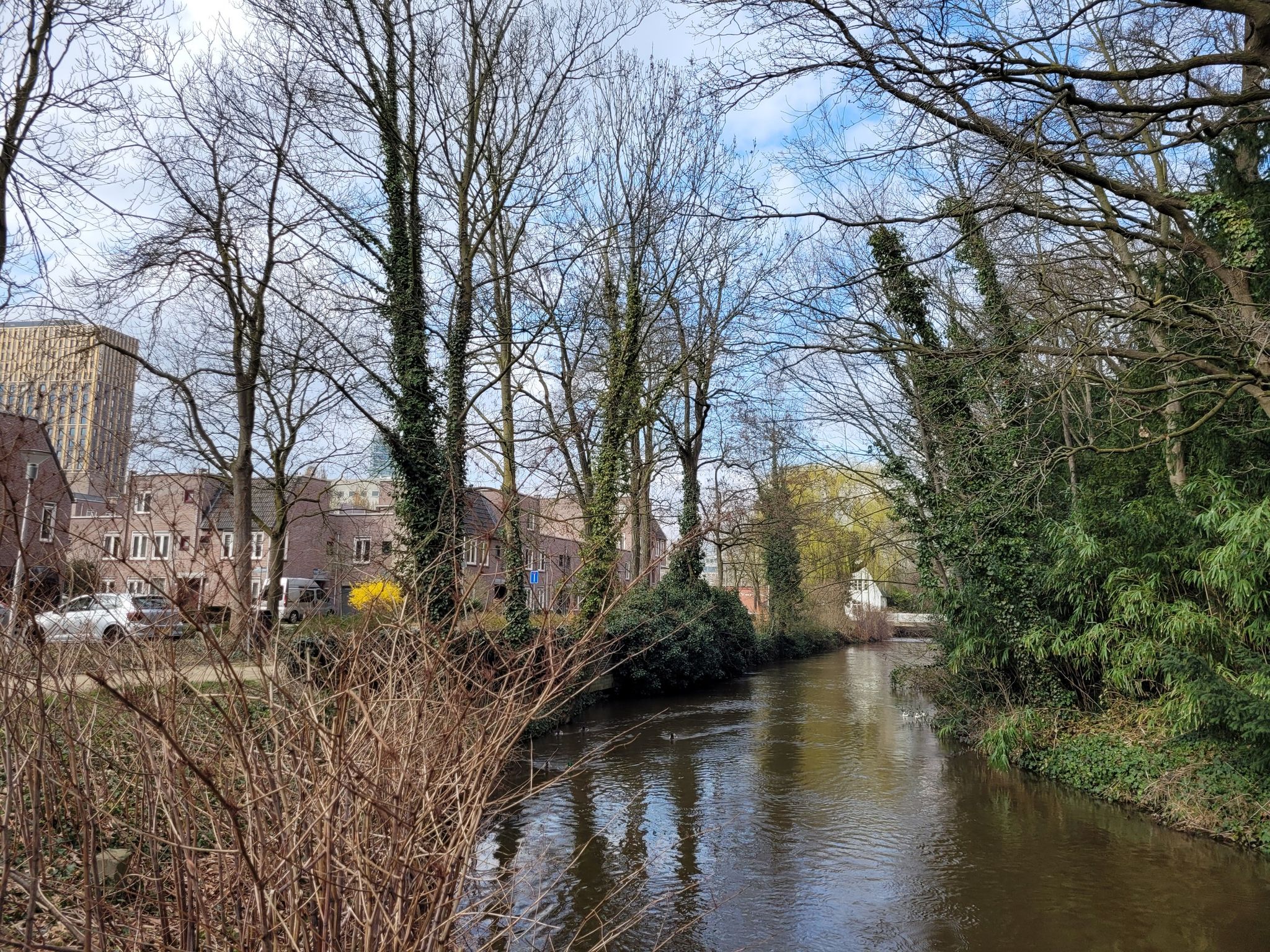An der Dommel entlang