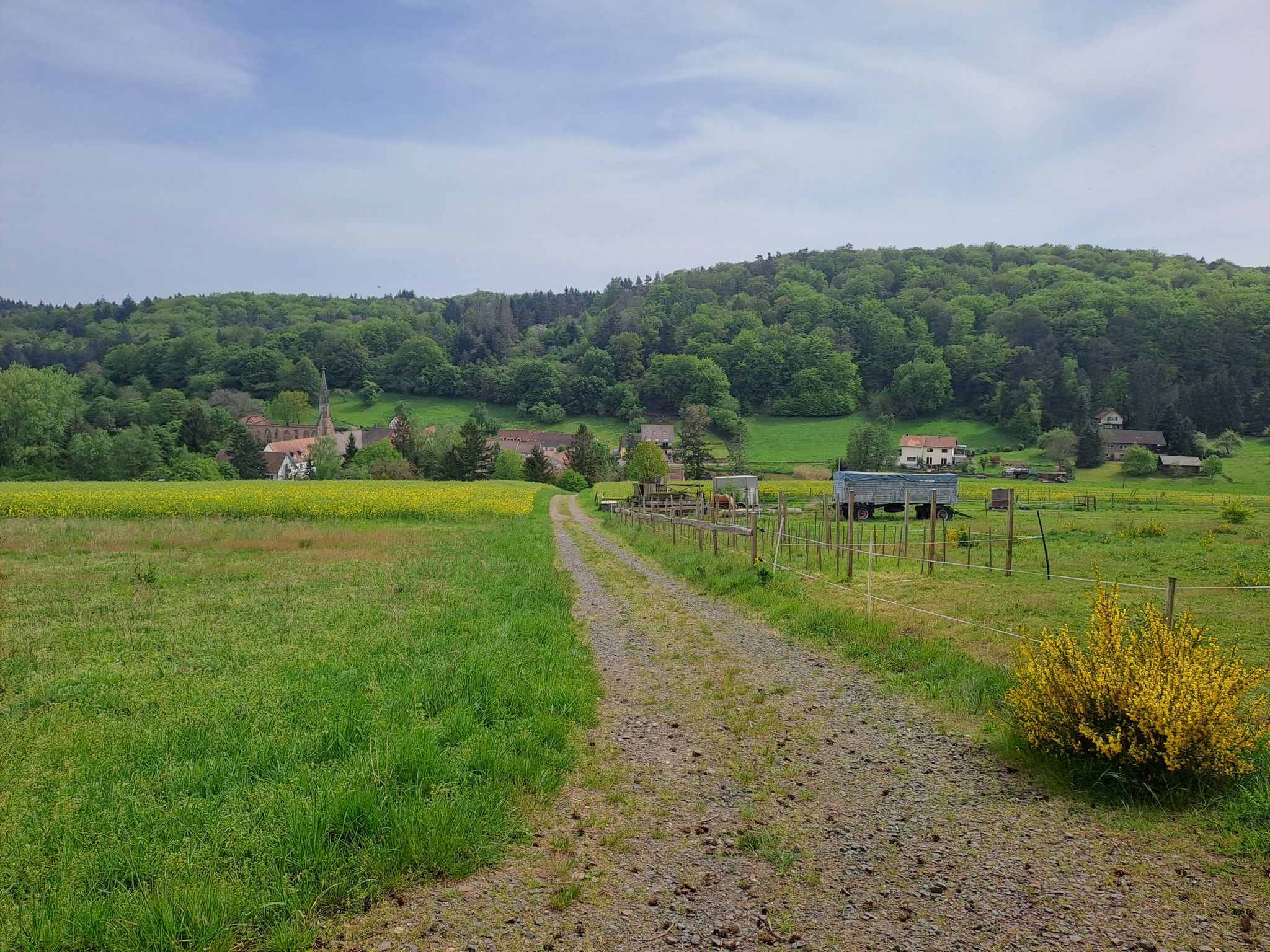 Zurüch in Rosenthal