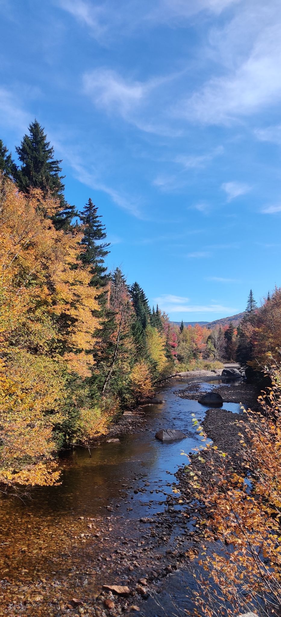A river flows through a vibrant autumn forest under a bright blue sky. - North and Middle Sugarloaf Trail