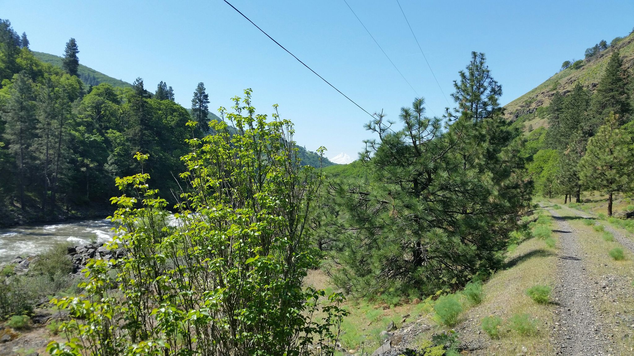 Sunny valley with a river, green trees, and a dirt path. - View of the Klickitat Valley – Klickitat Park loop from Mayer State Park