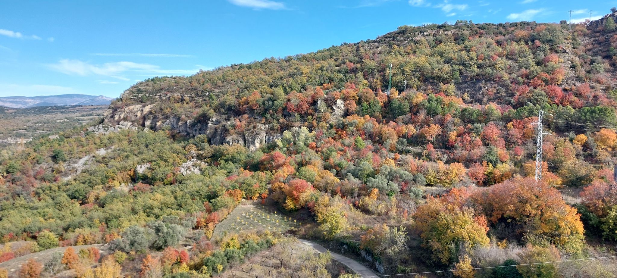 Top Herbstfarben