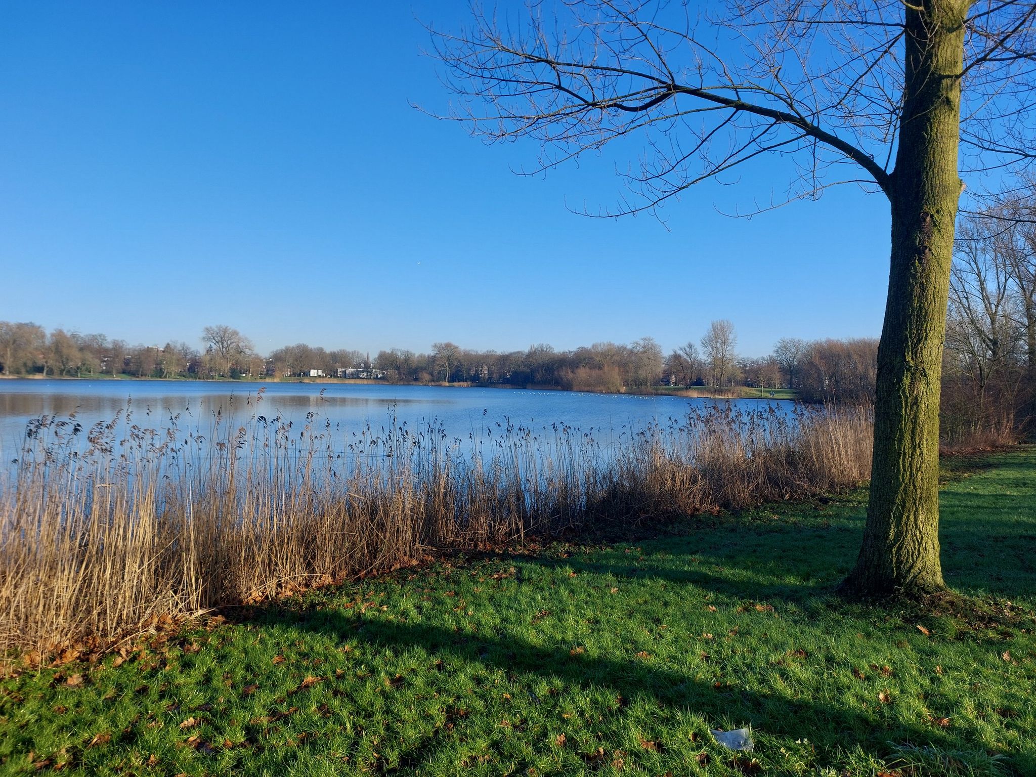 De IJzeren Vrouw