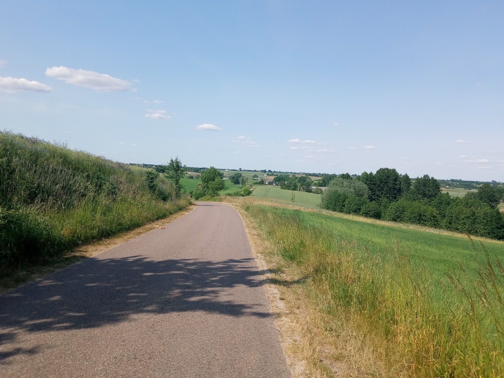 Lubinek
