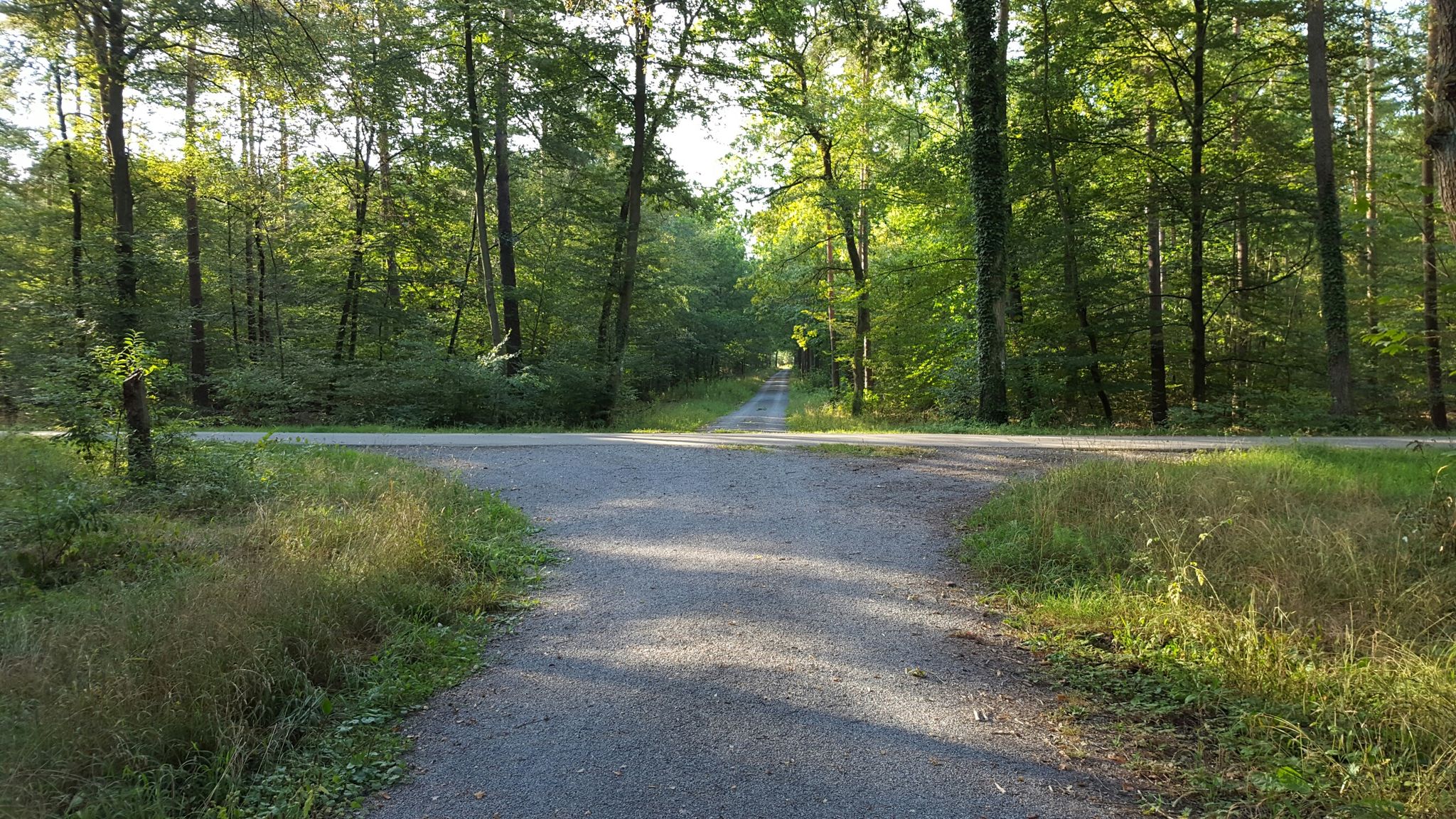 Der Reilinger Weg