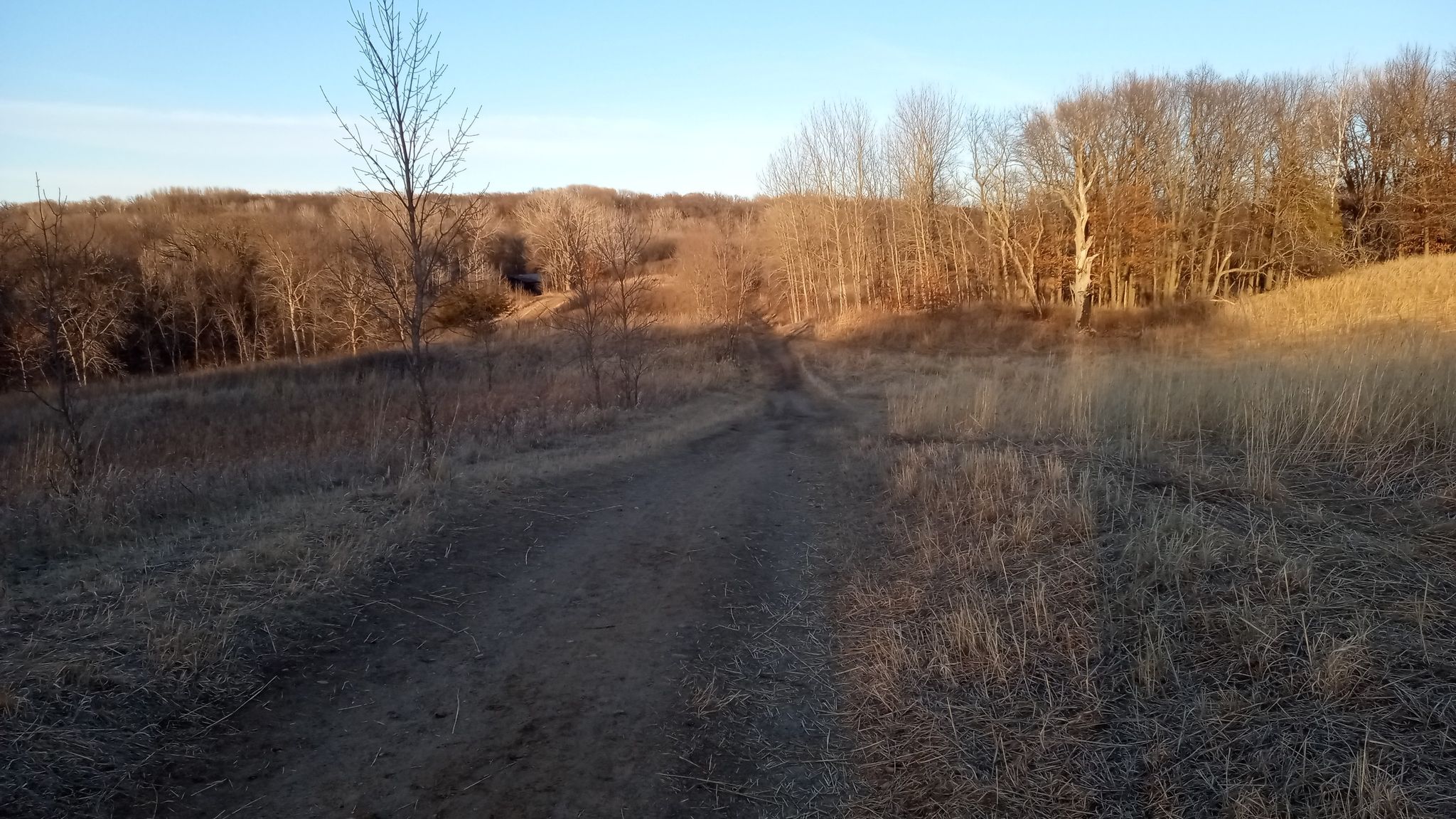 trail coming back to the horse picnic ground