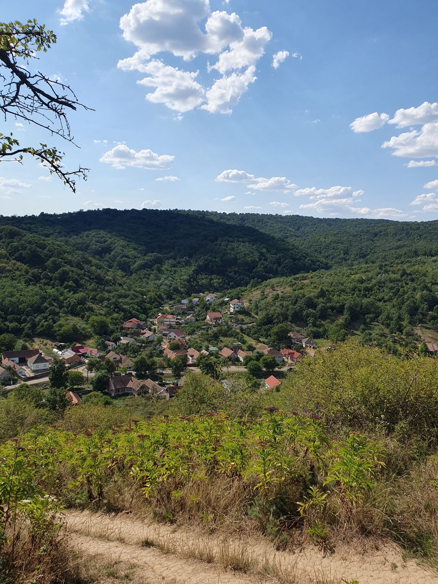 Schoimosch im Lippovaer Hüggelland