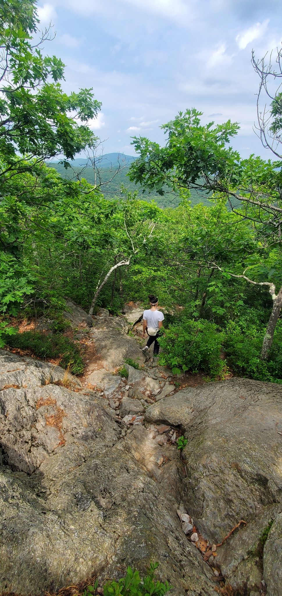 A person hikes down a steep, rocky trail surrounded by green trees. - Bear Mountain via Bear Mountain Road