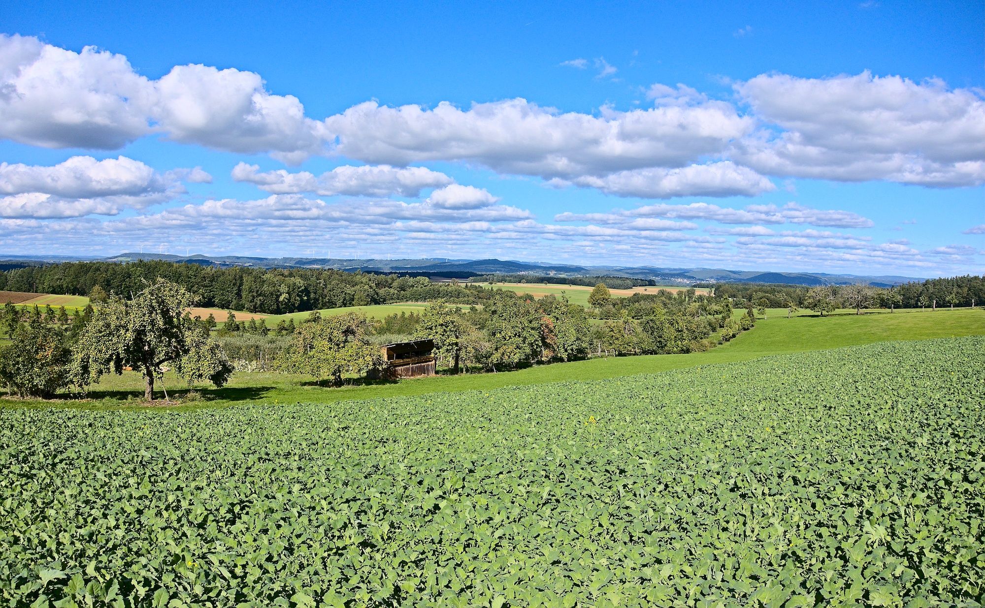 Ausblick bei Lindenberg (Kasendorf)