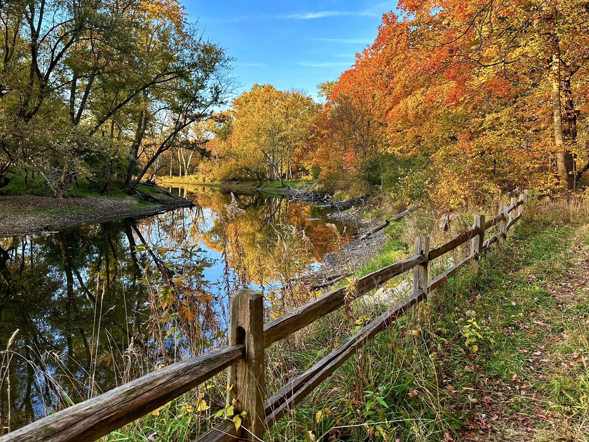 River reflecting autumn trees, with a wooden fence alongside a path. - Des Plaines River Trail – Cahokia Flatwoods loop from Prairie View