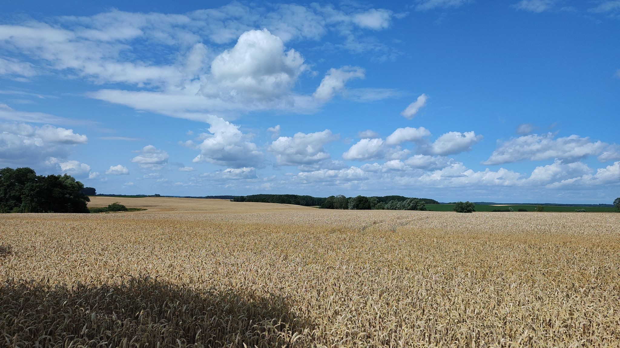 Reichlich Landschaft heute wieder....