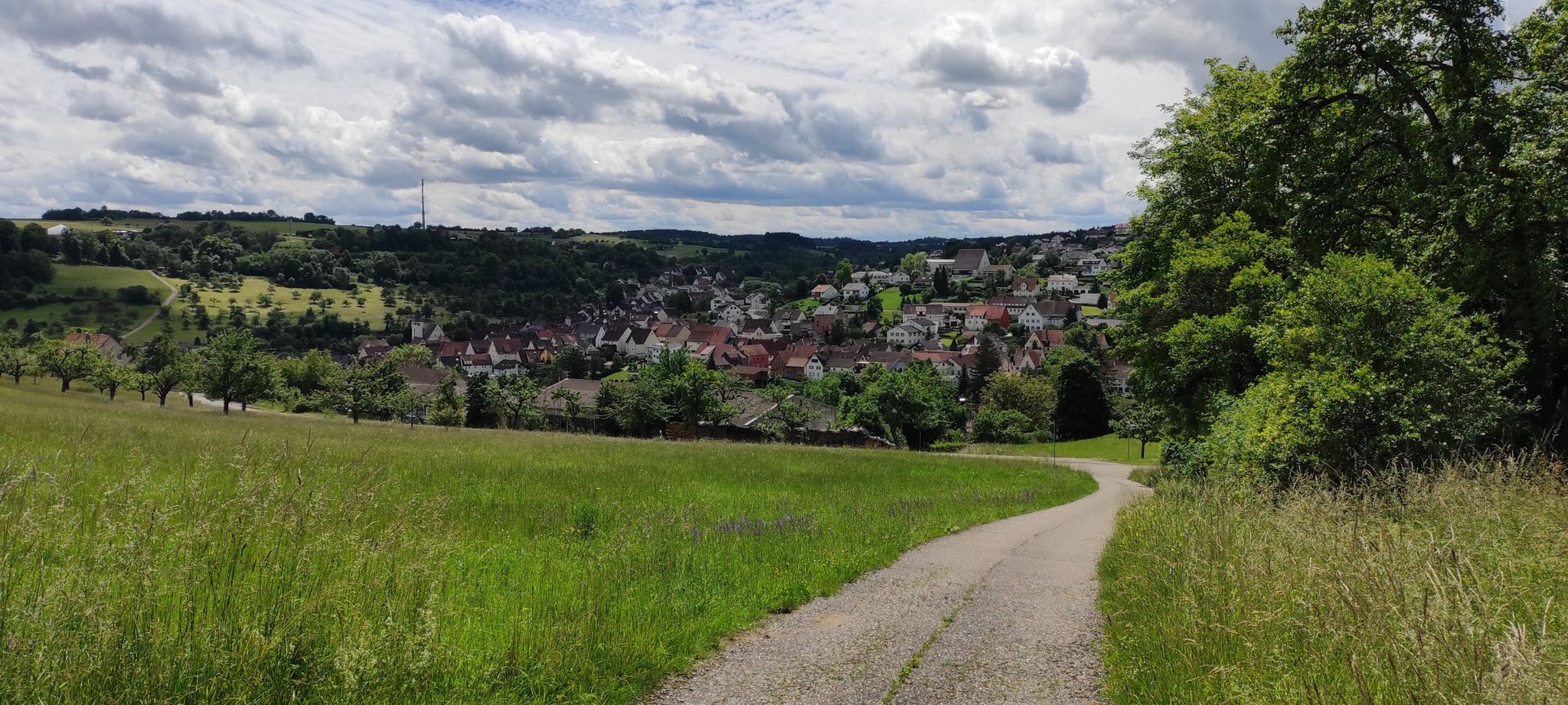 Blick auf Haiterbach